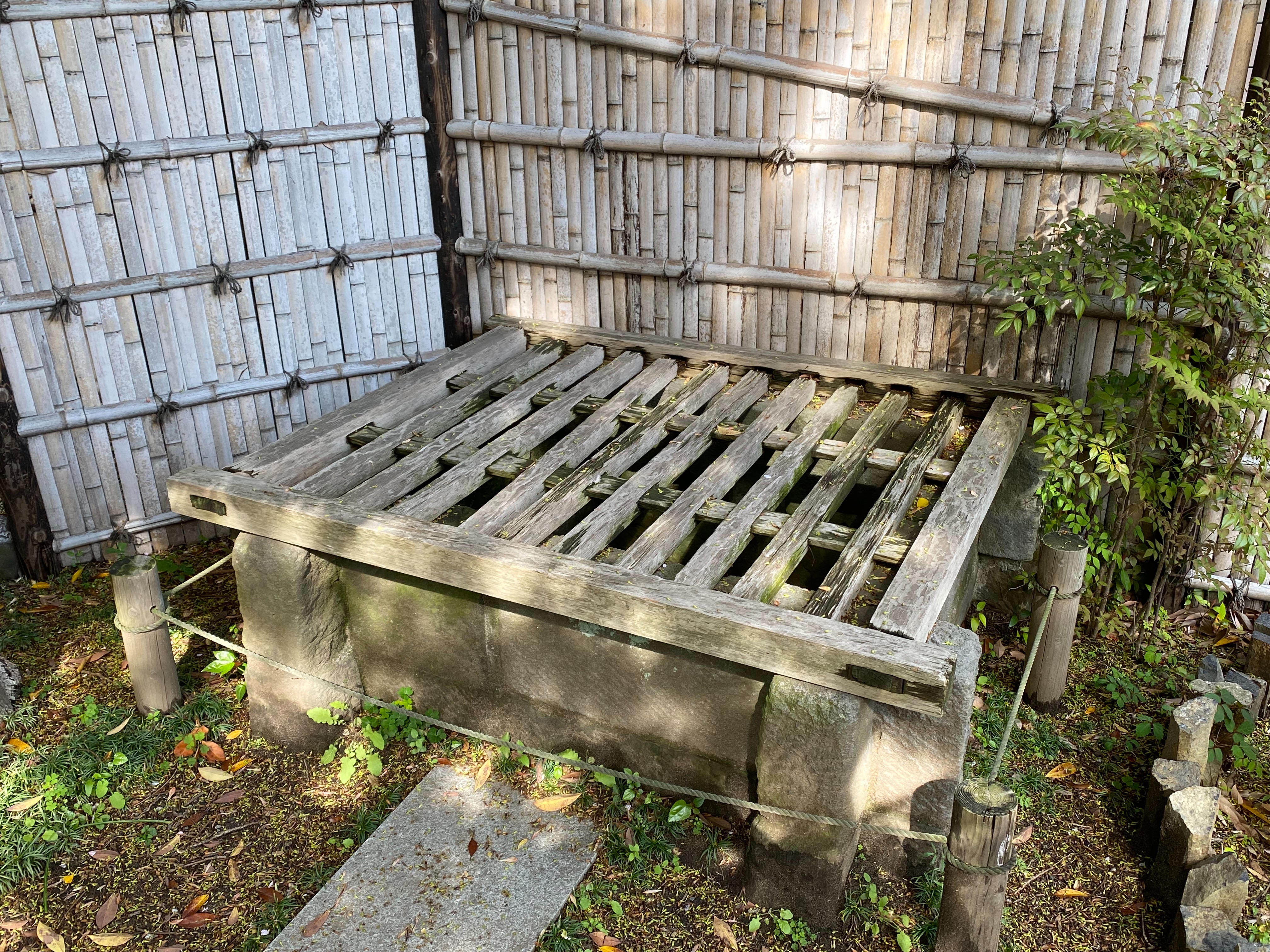 f:id:yoyorinrinyuyu:20220417093004j:image