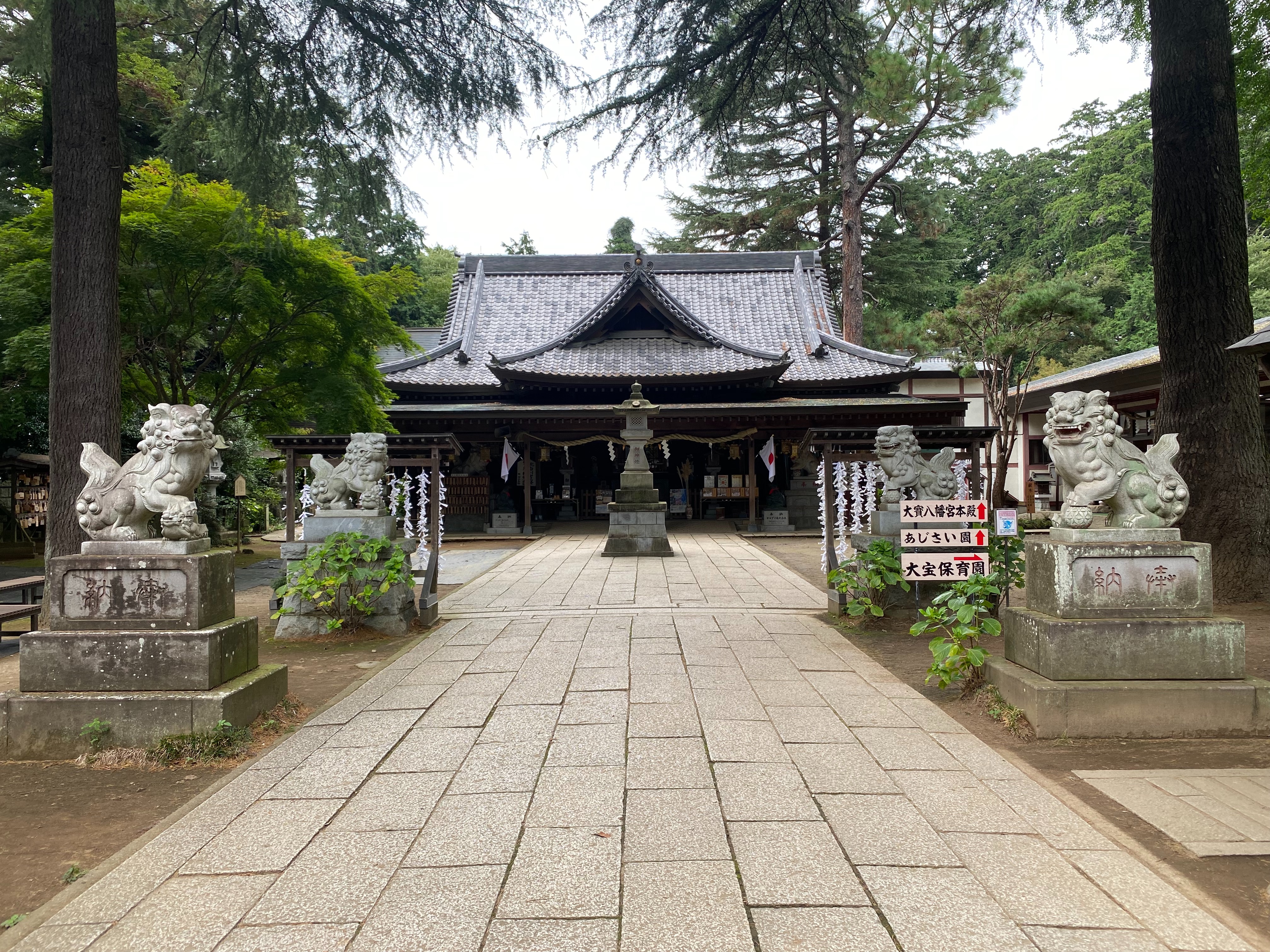 f:id:yoyorinrinyuyu:20220924100107j:image