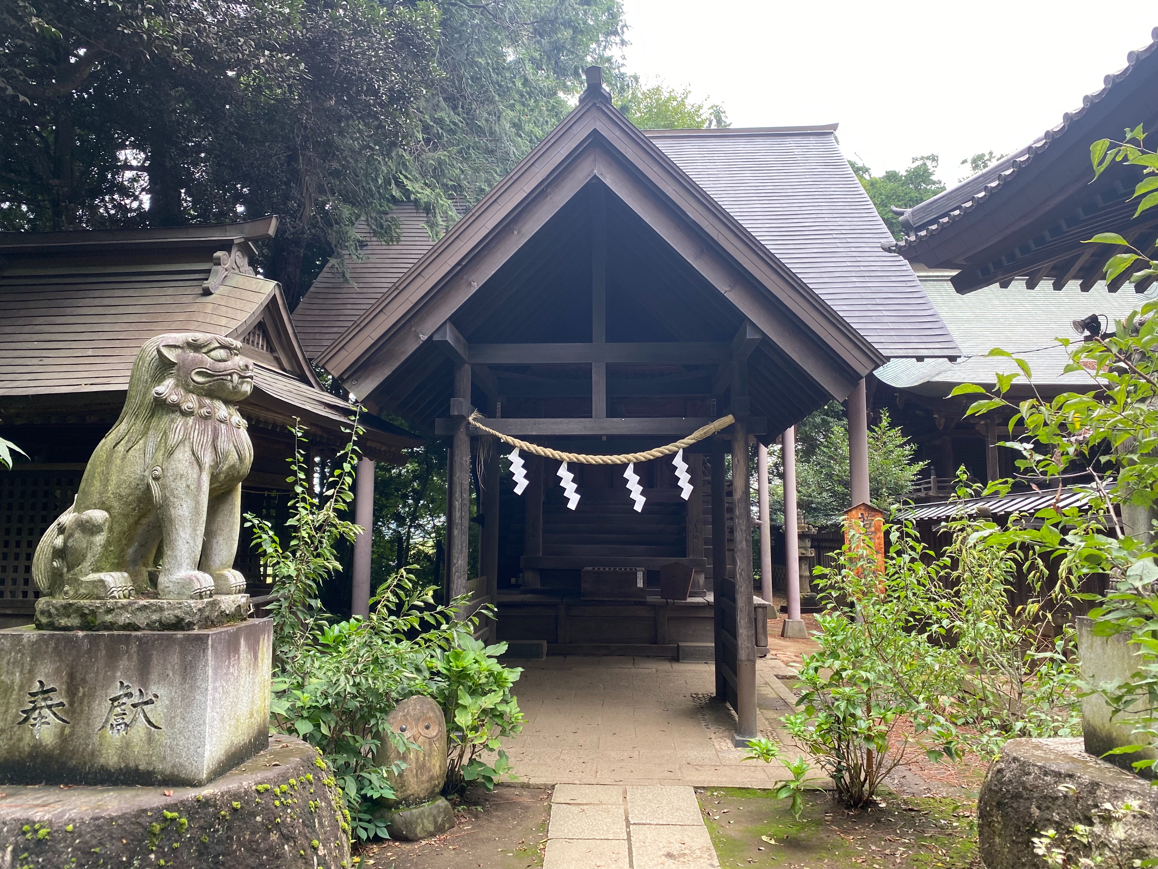 f:id:yoyorinrinyuyu:20220924100117j:image