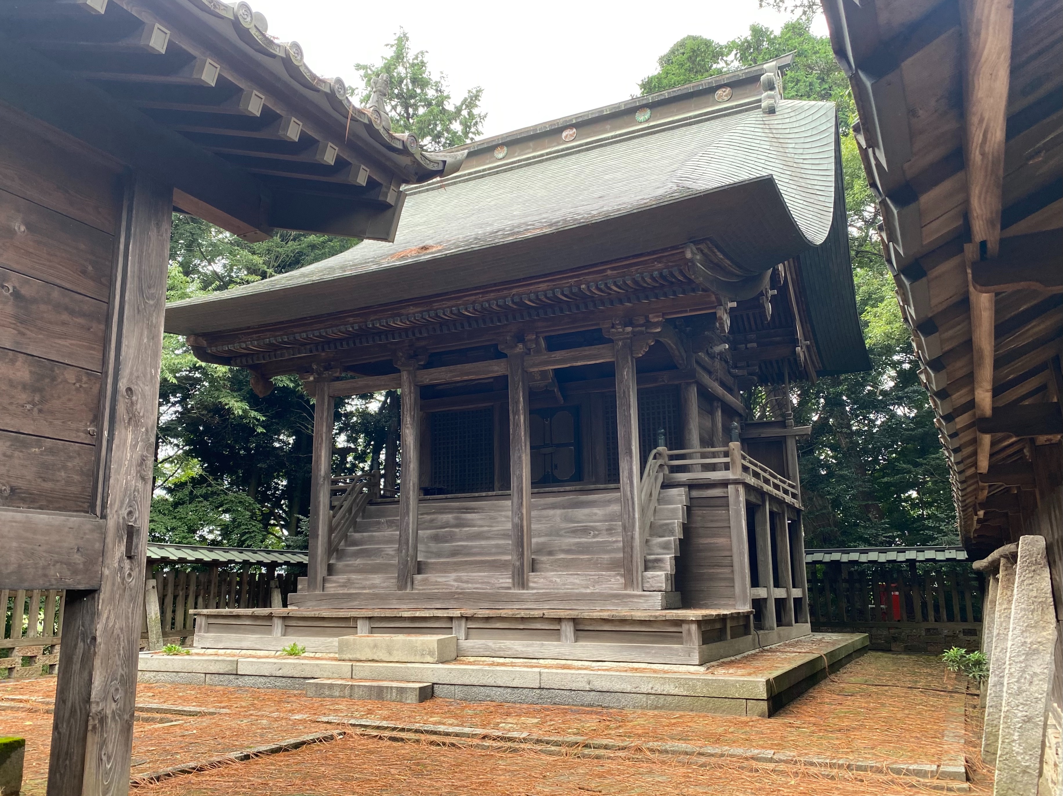 f:id:yoyorinrinyuyu:20220924100142j:image