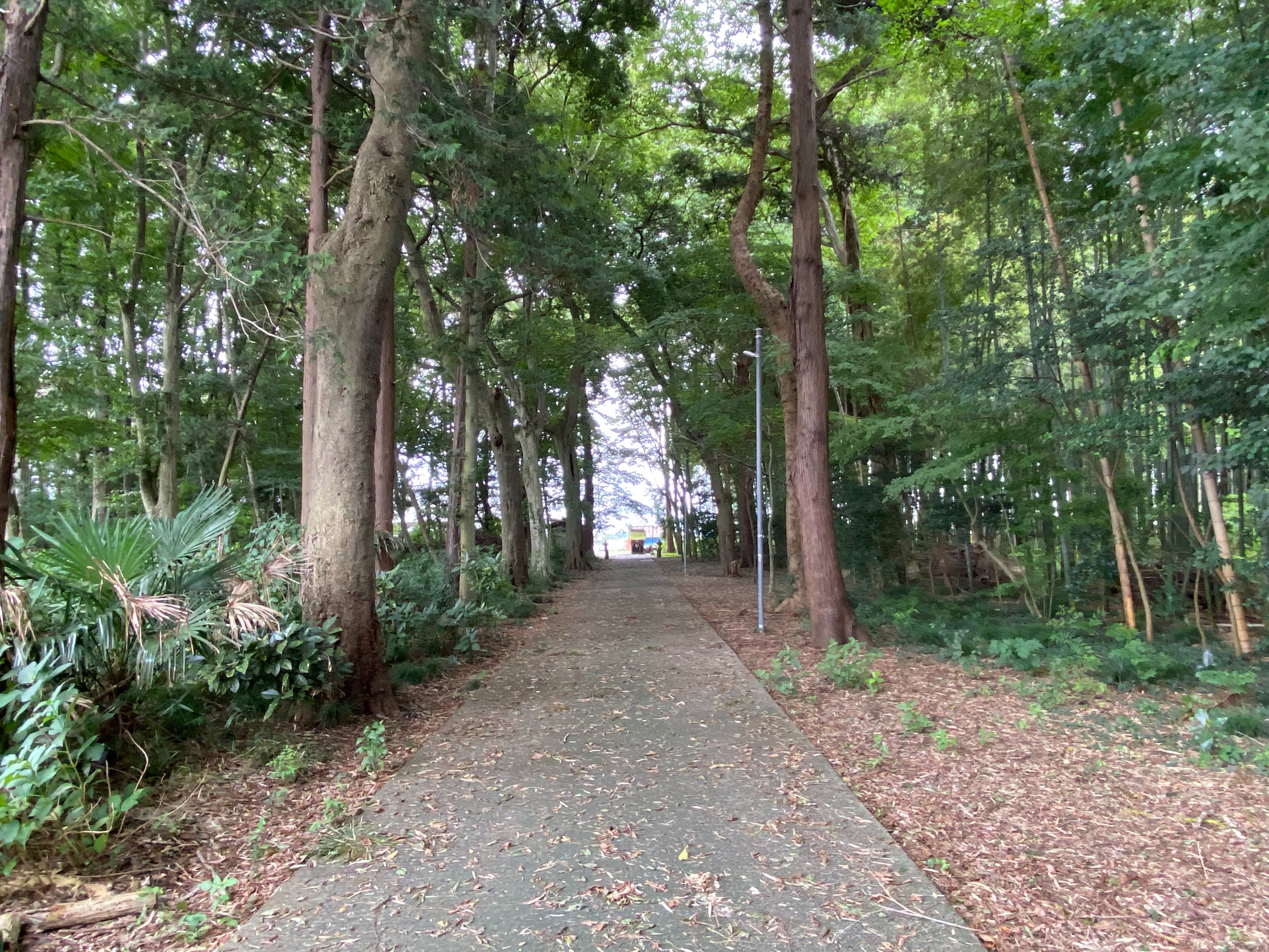 f:id:yoyorinrinyuyu:20220924103457j:image