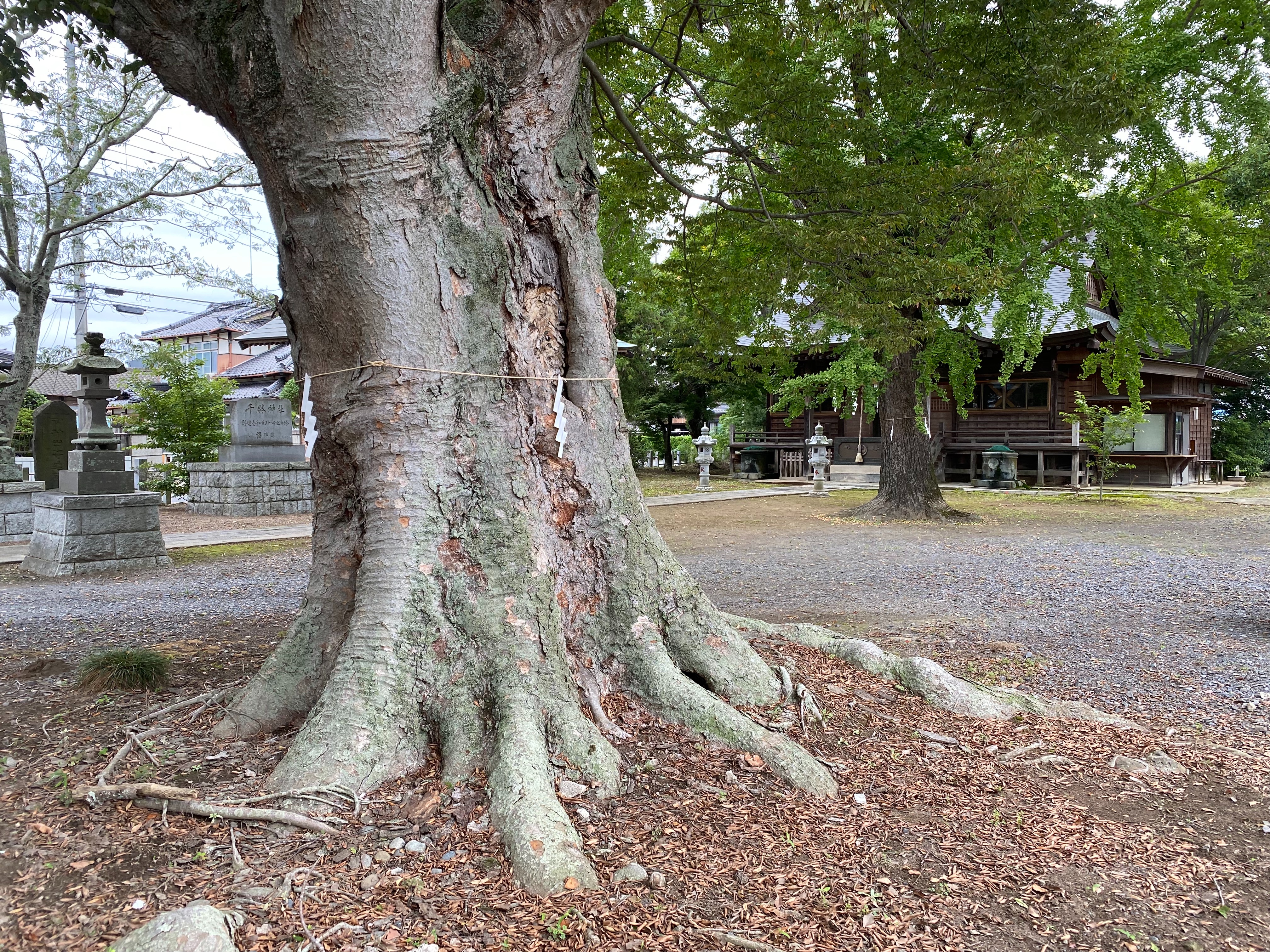 f:id:yoyorinrinyuyu:20220924113156j:image