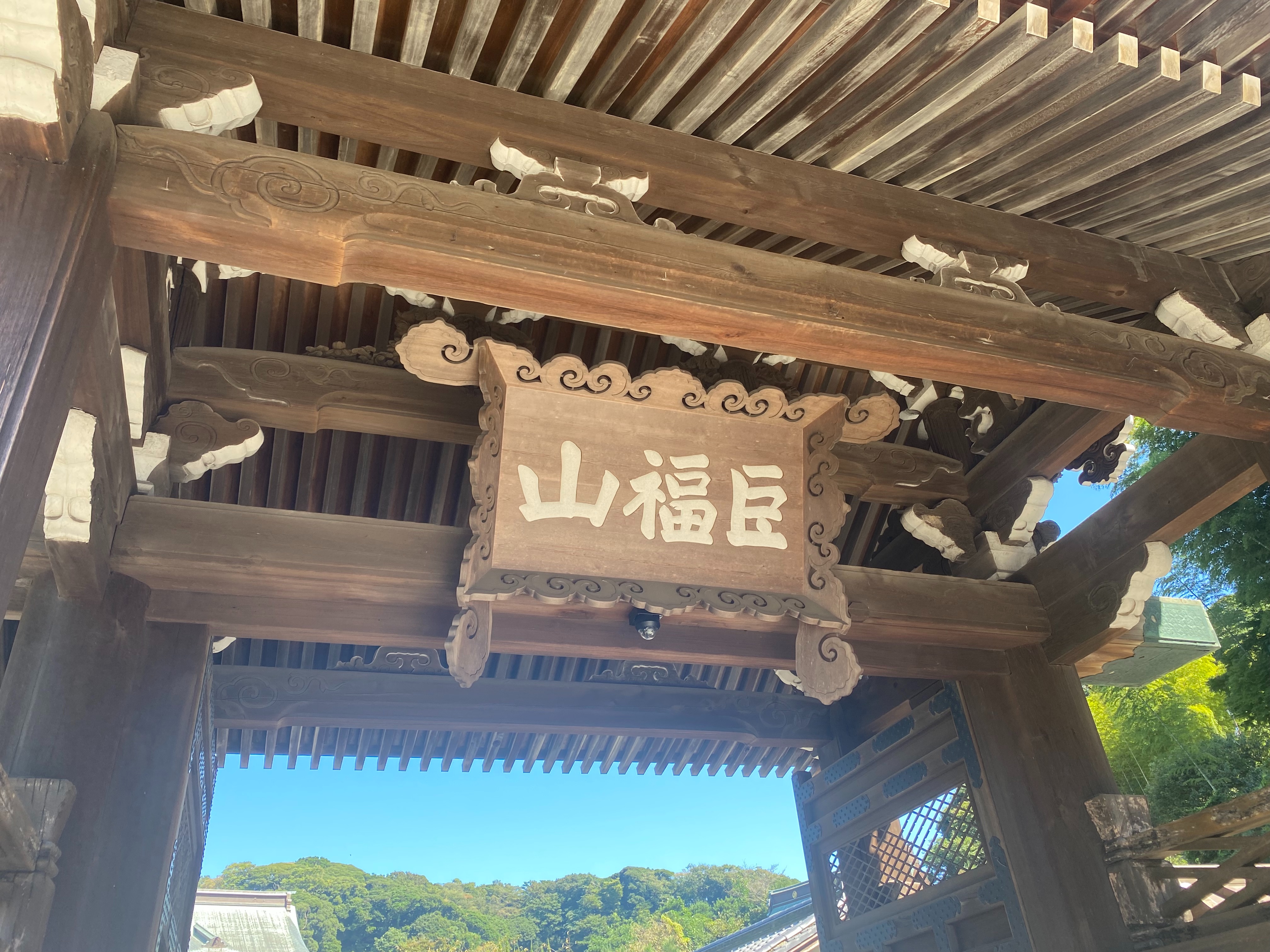 f:id:yoyorinrinyuyu:20221008214436j:image