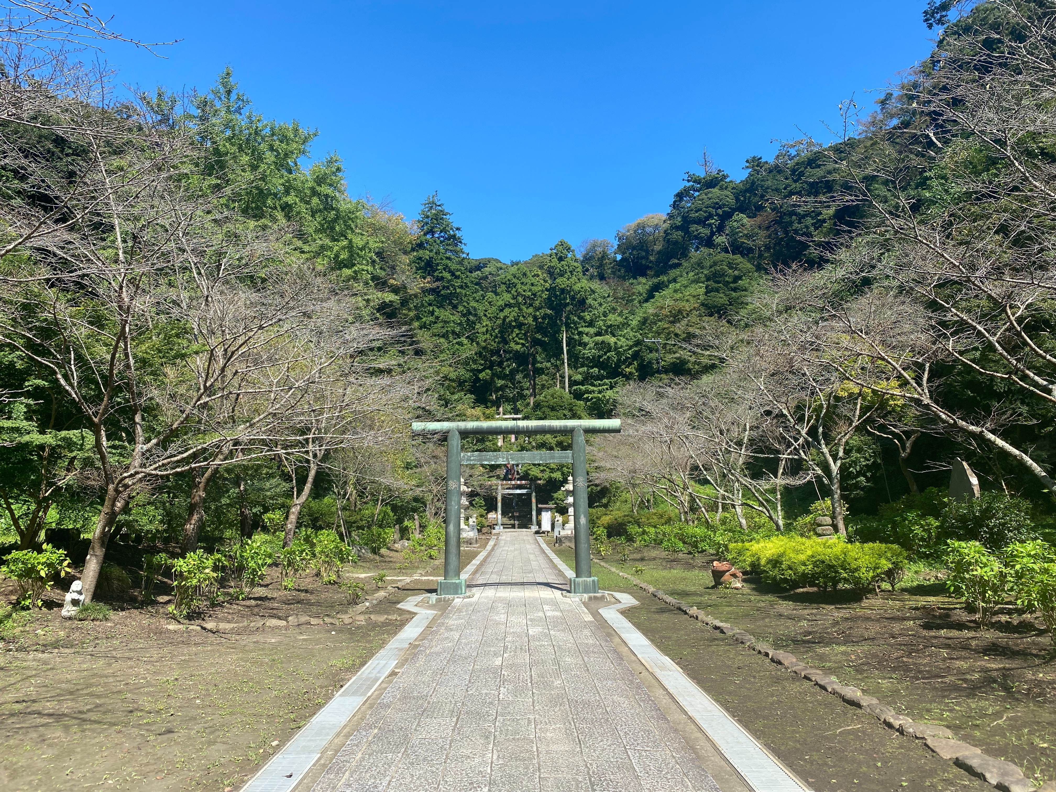 f:id:yoyorinrinyuyu:20221008214459j:image