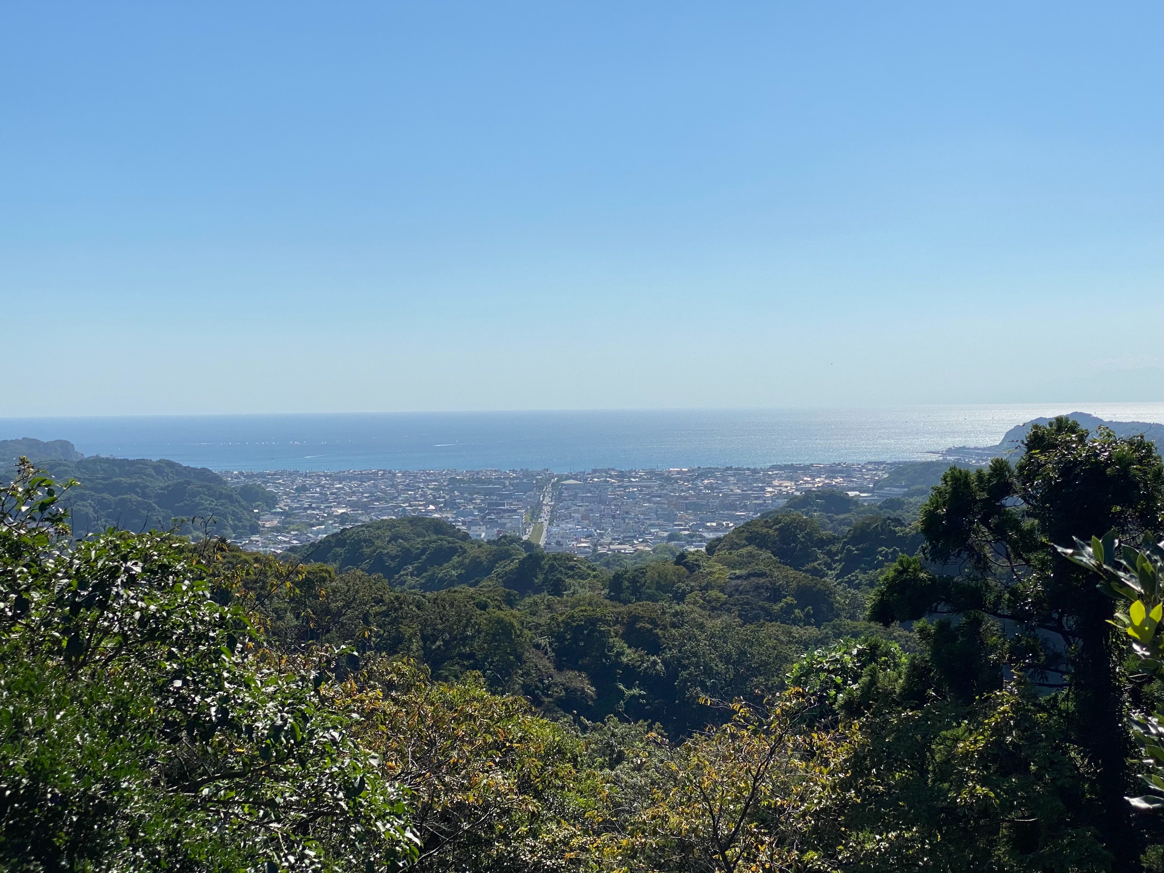 f:id:yoyorinrinyuyu:20221008214614j:image