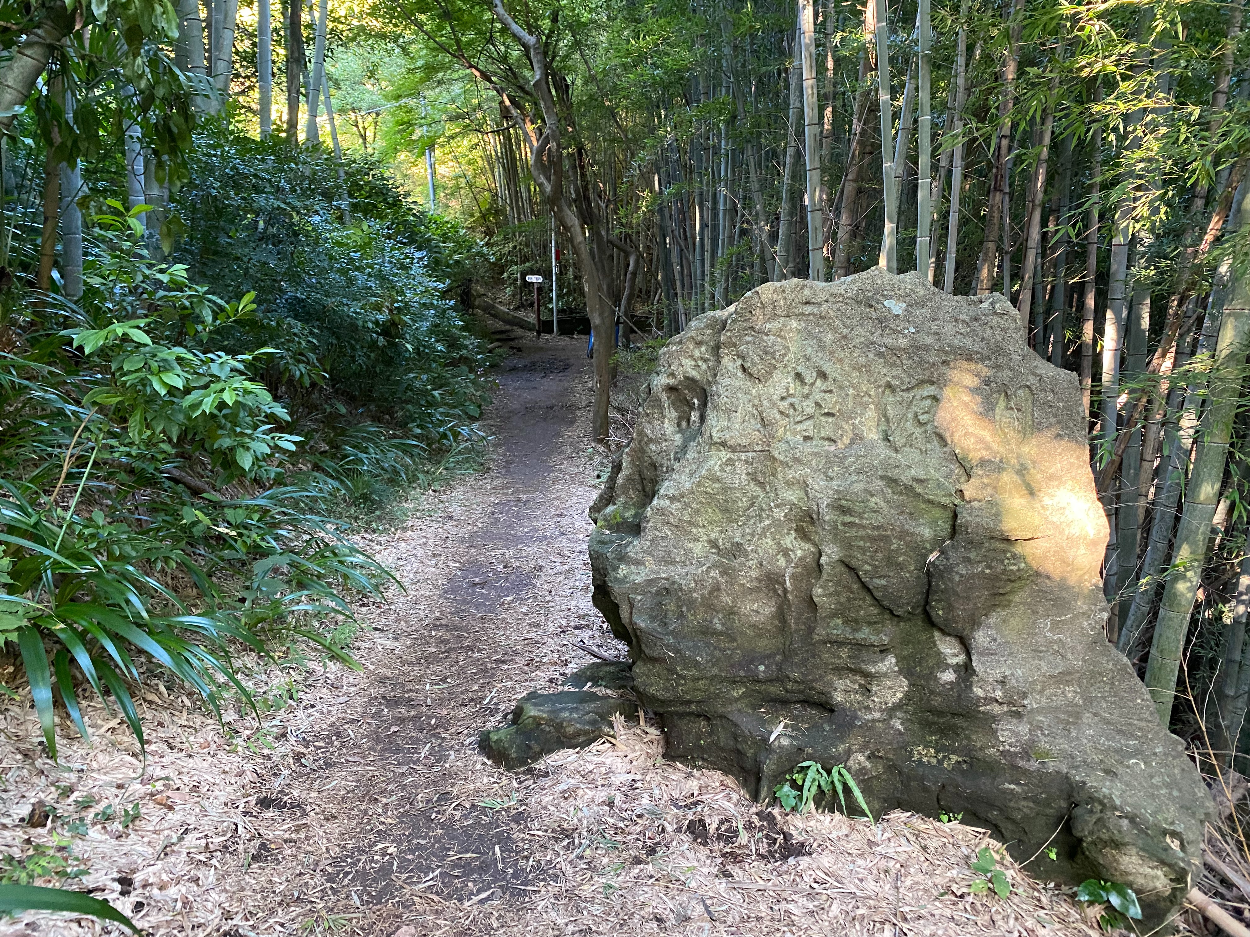 f:id:yoyorinrinyuyu:20221008214819j:image