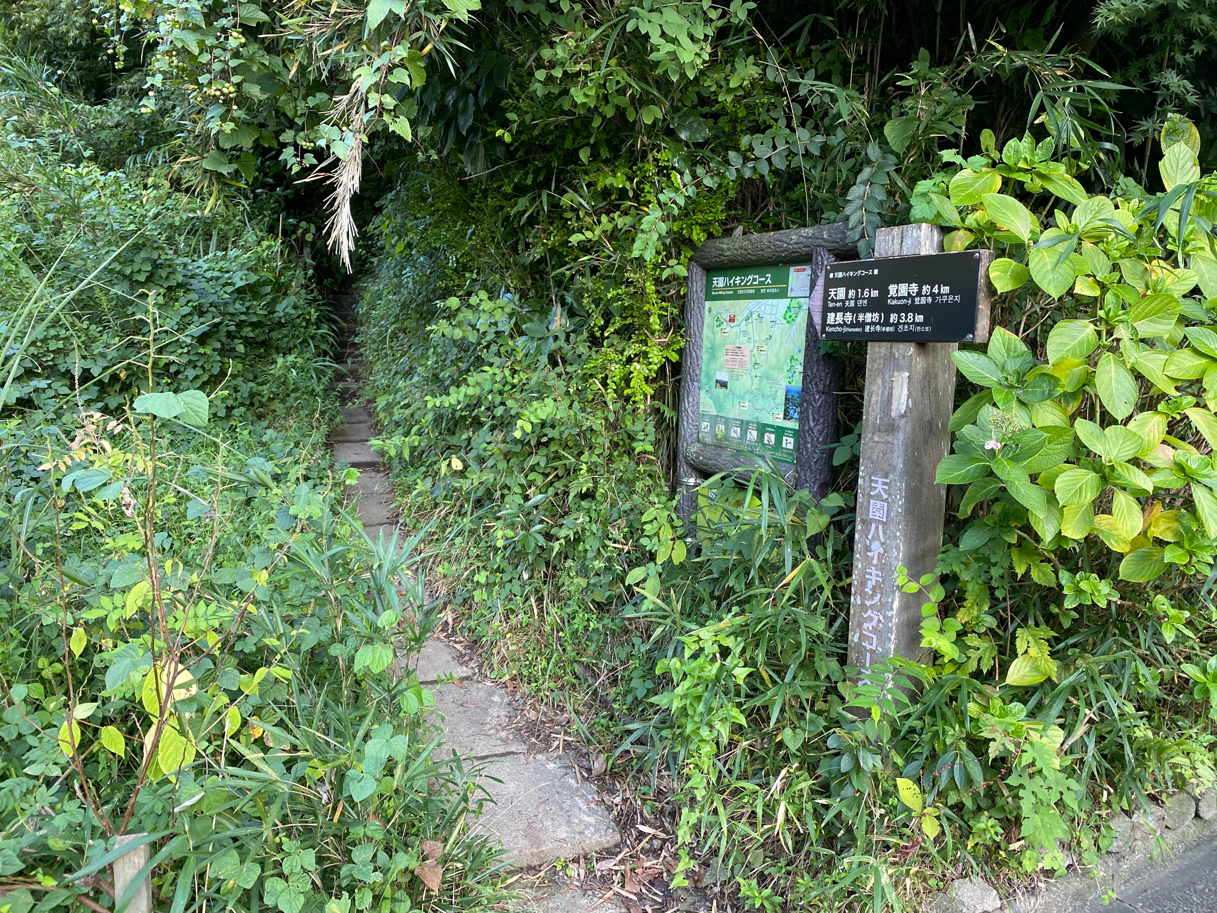 f:id:yoyorinrinyuyu:20221008214838j:image