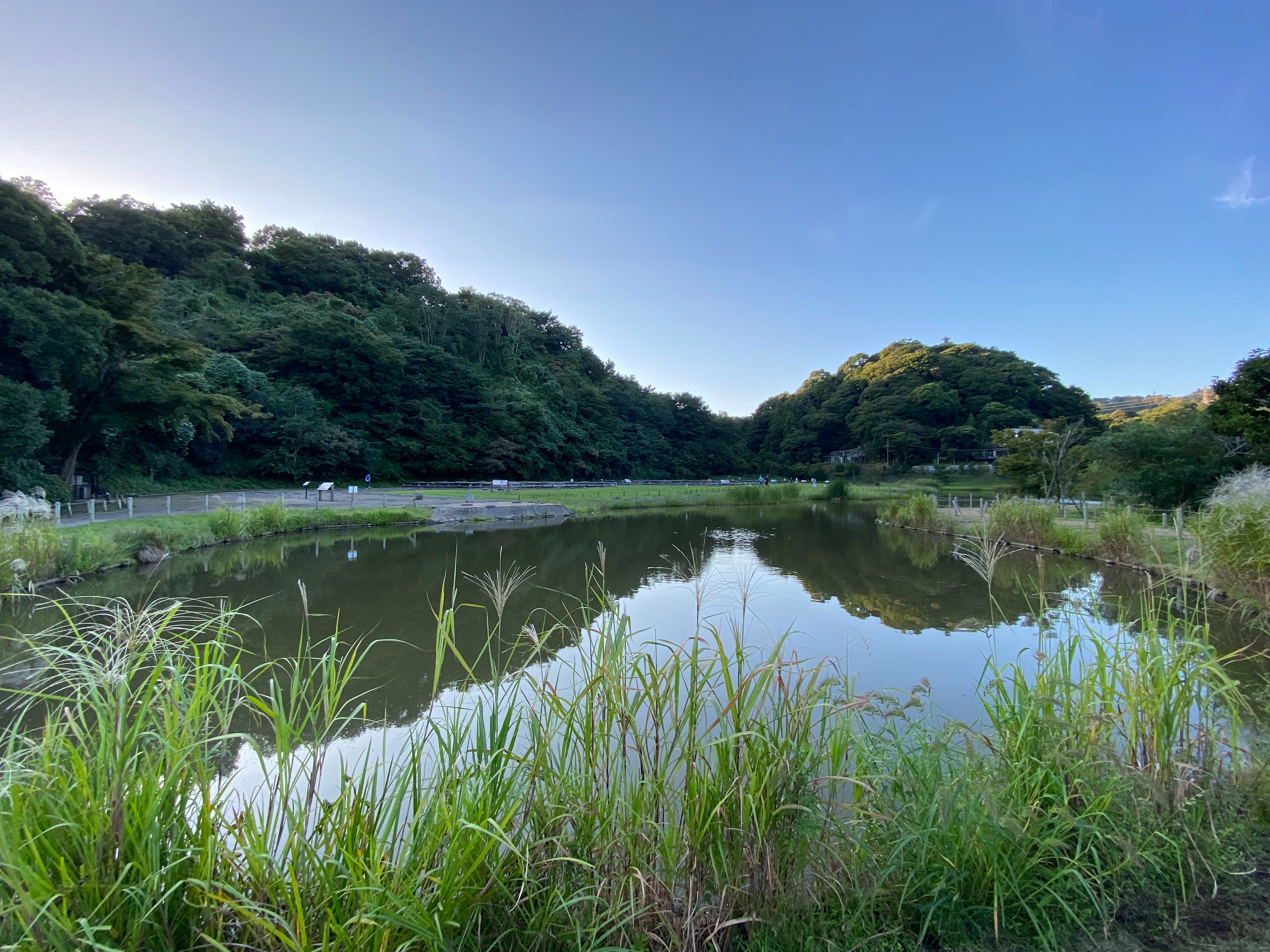 f:id:yoyorinrinyuyu:20221008214921j:image