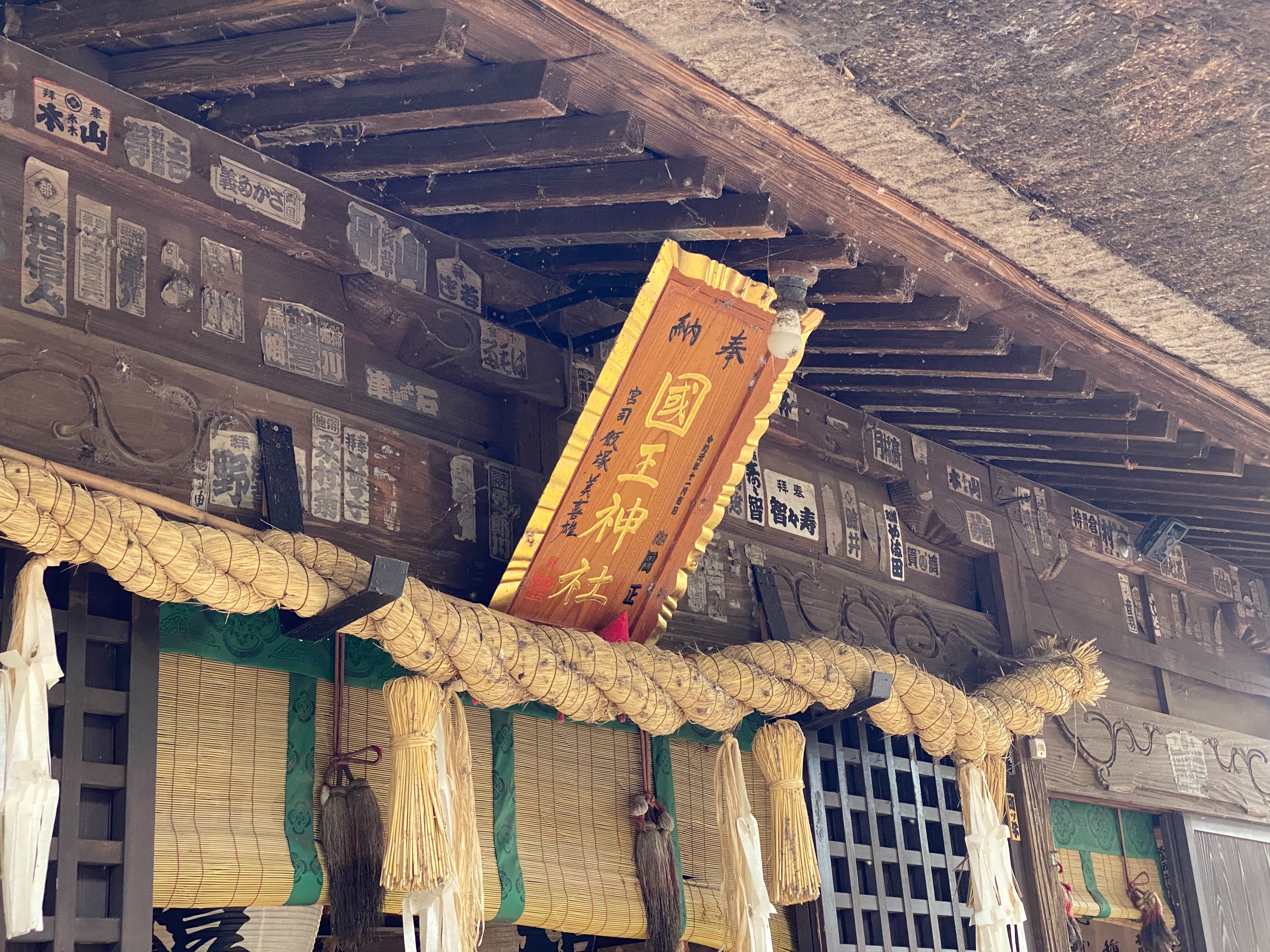 f:id:yoyorinrinyuyu:20221114020957j:image