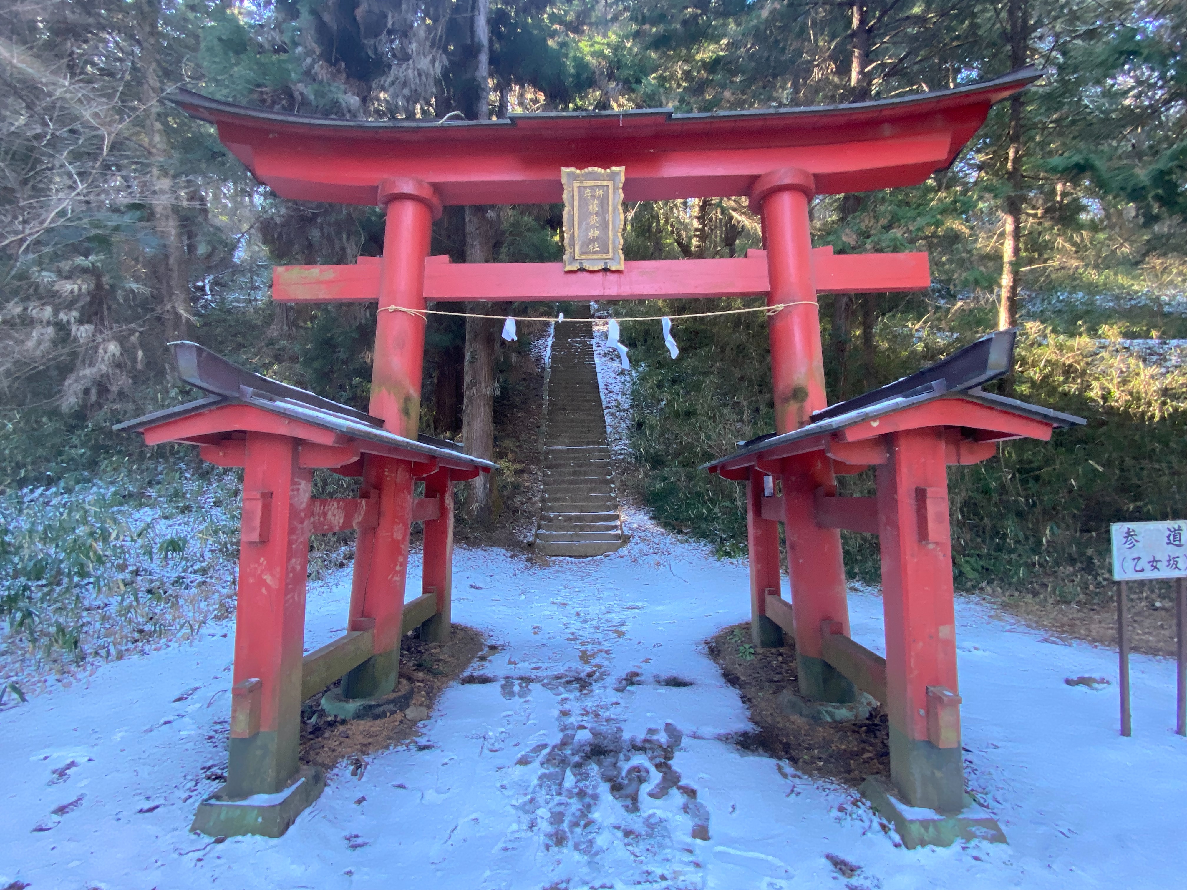 f:id:yoyorinrinyuyu:20230130080903j:image