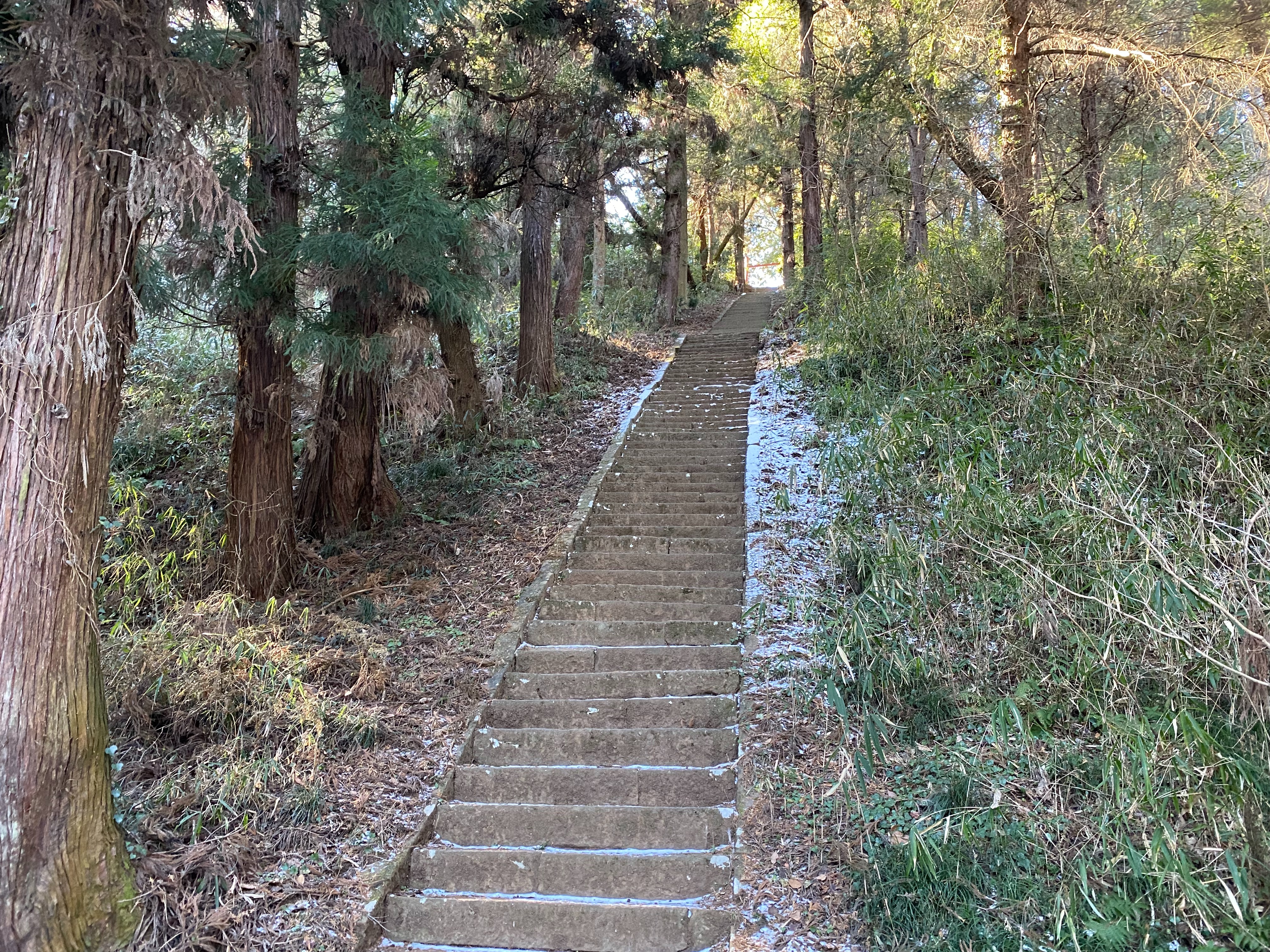 f:id:yoyorinrinyuyu:20230130080914j:image