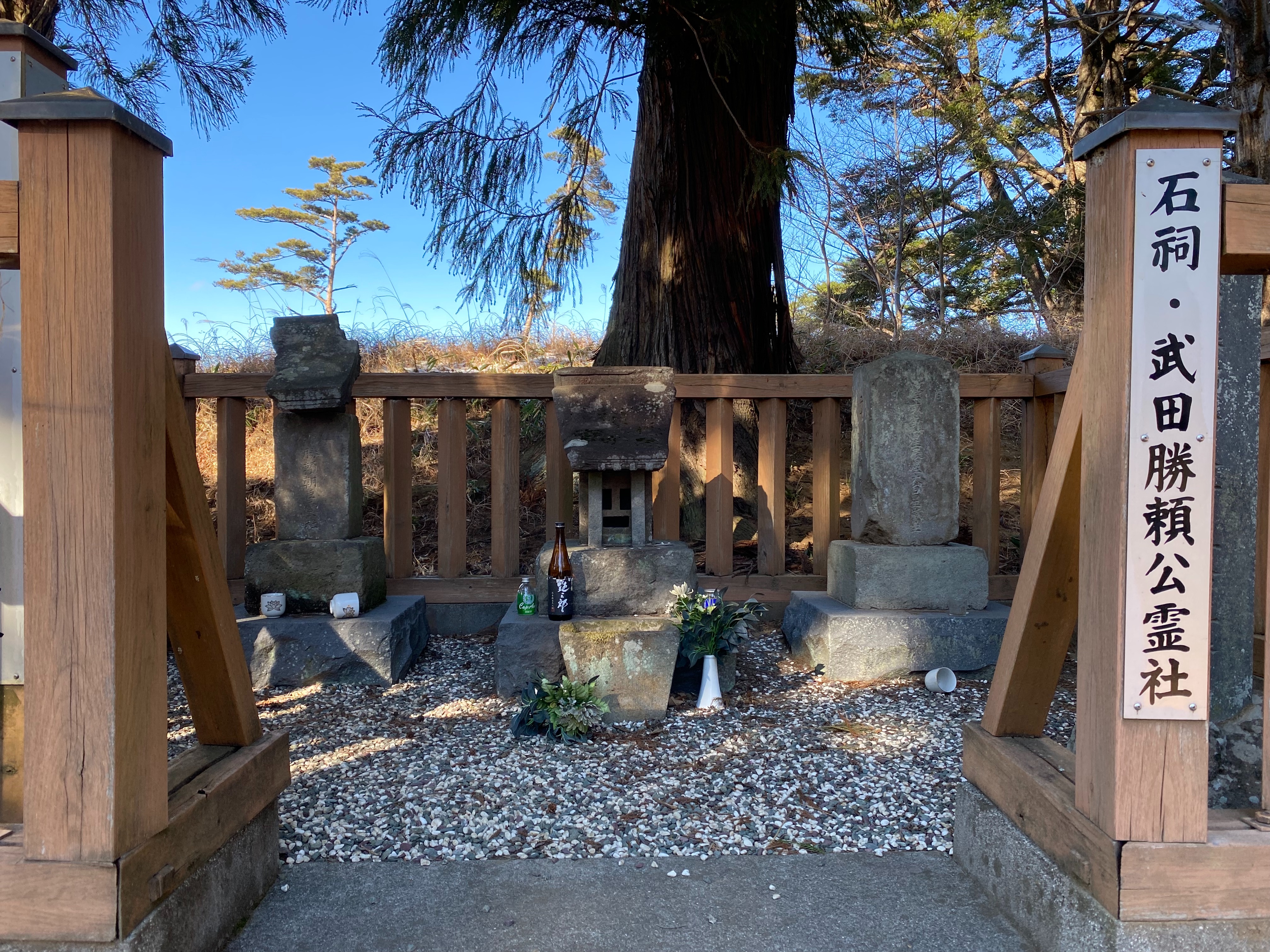 f:id:yoyorinrinyuyu:20230130081102j:image