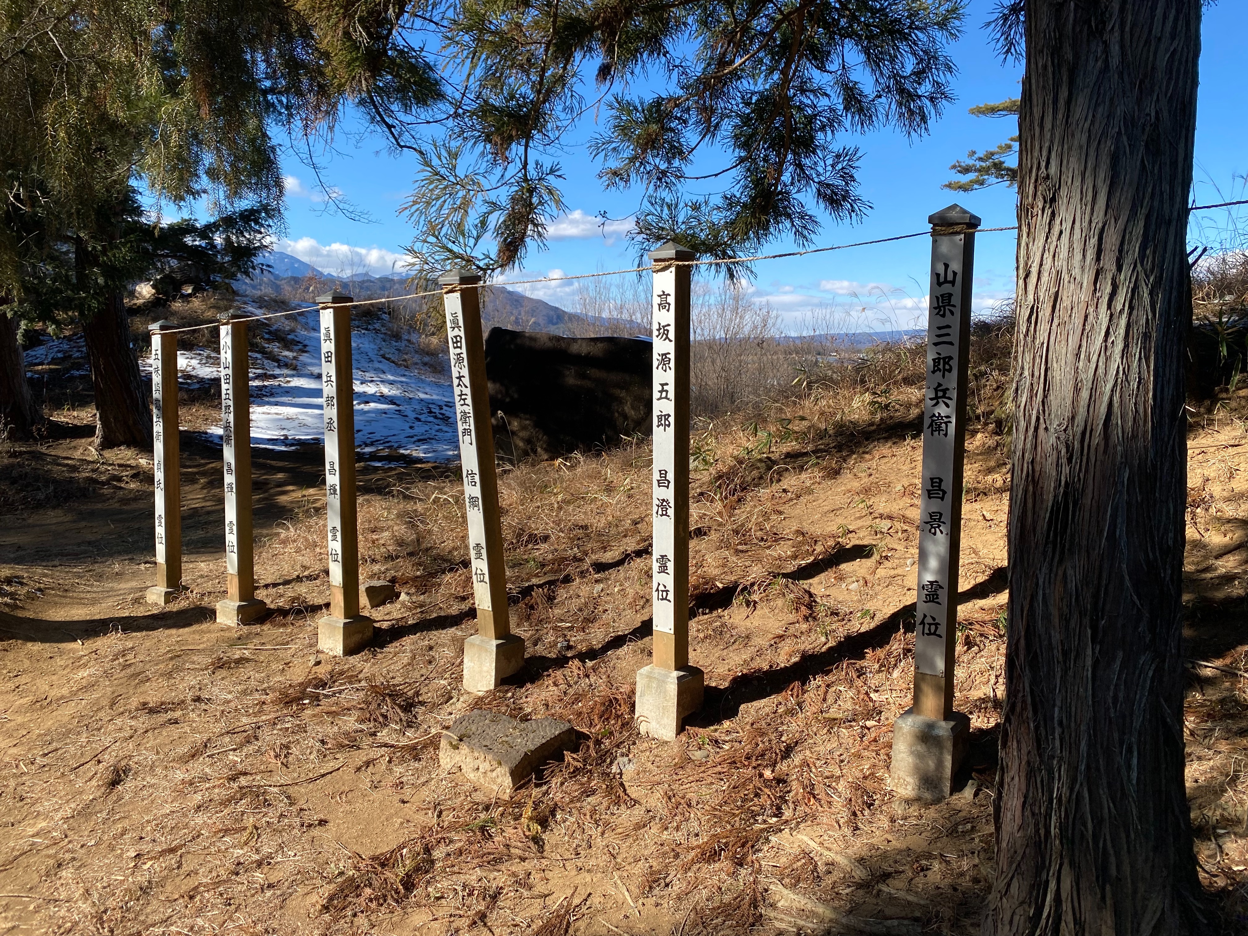 f:id:yoyorinrinyuyu:20230130081234j:image