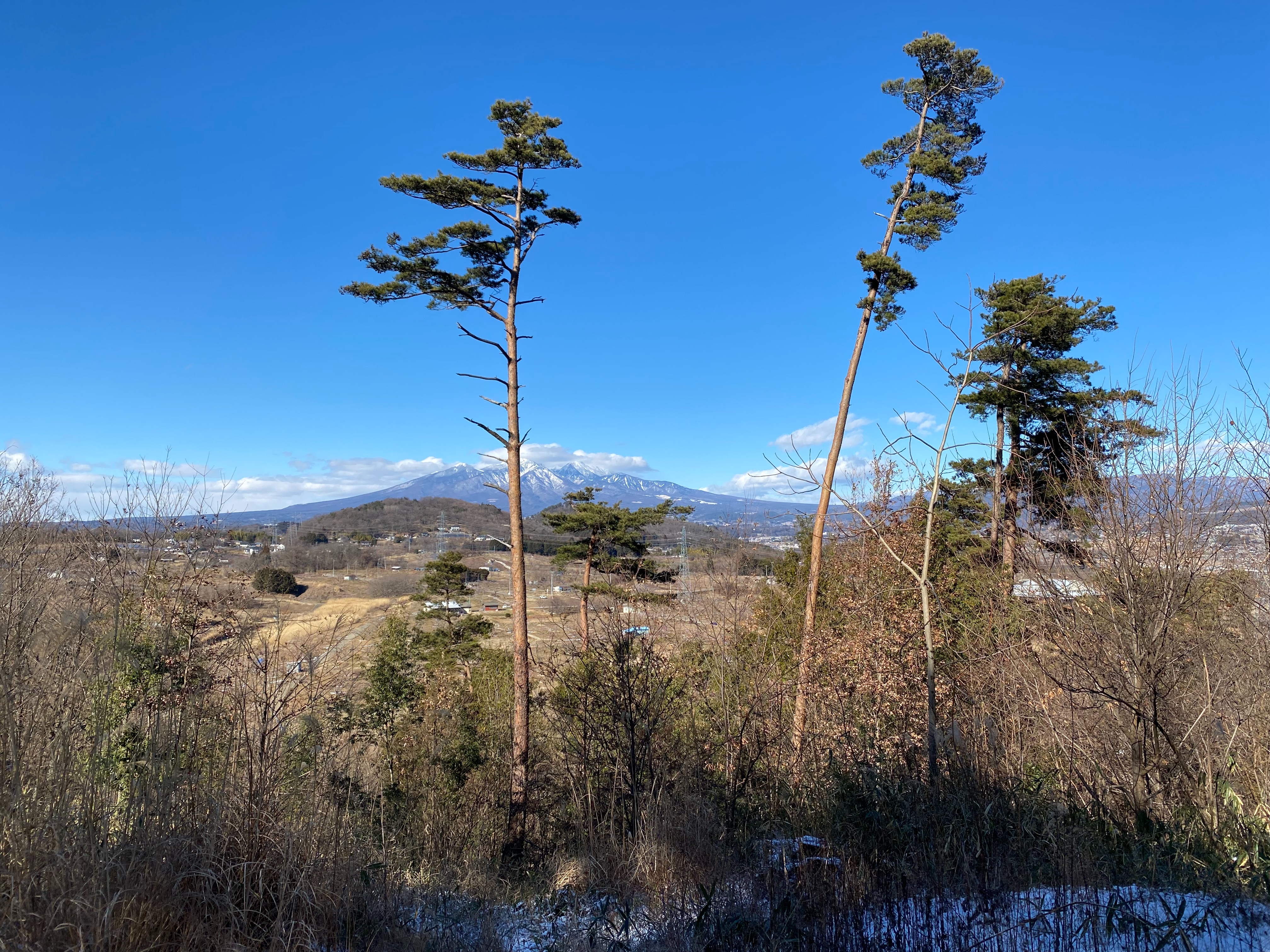 f:id:yoyorinrinyuyu:20230130081256j:image