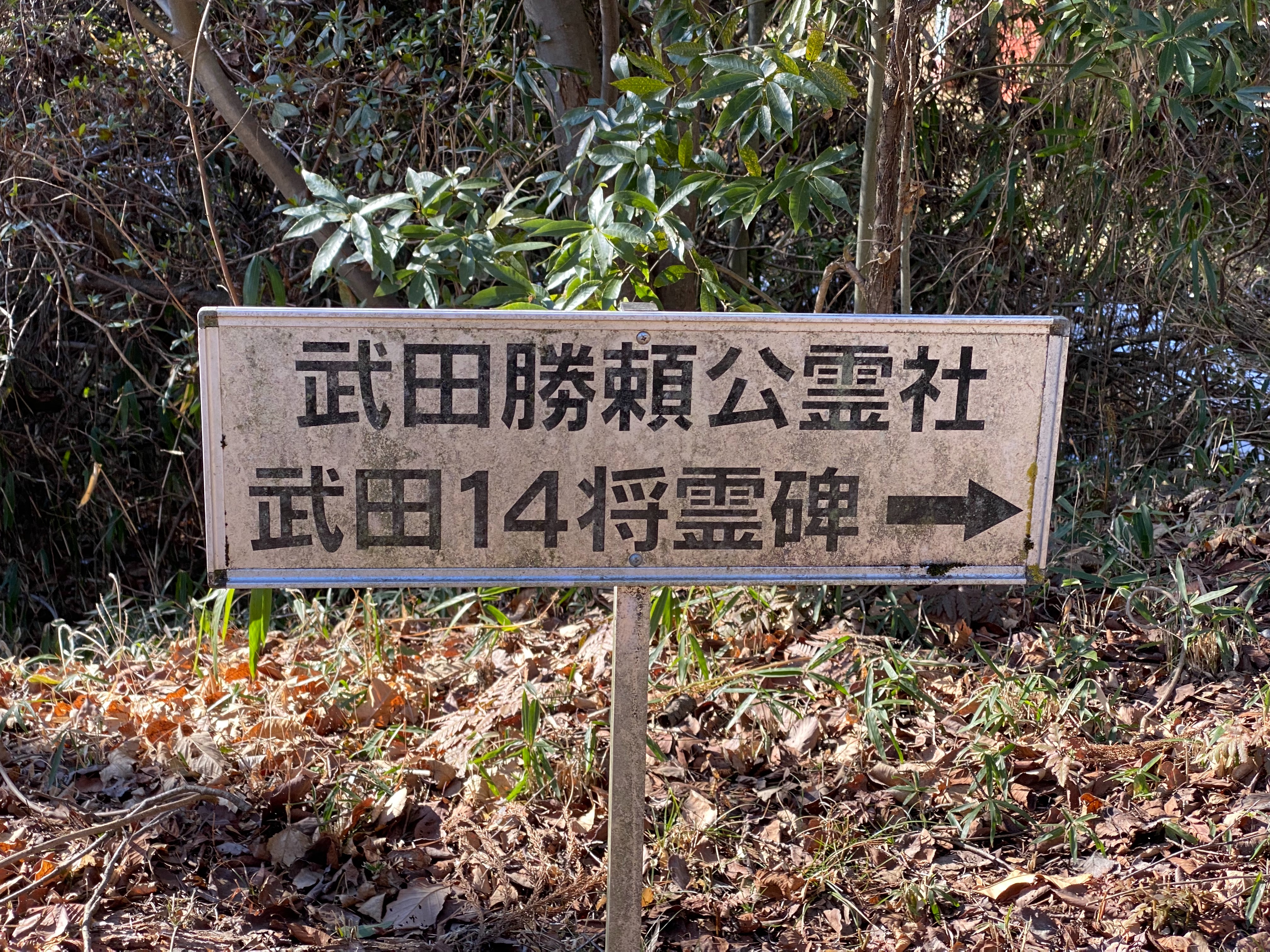 f:id:yoyorinrinyuyu:20230130081325j:image