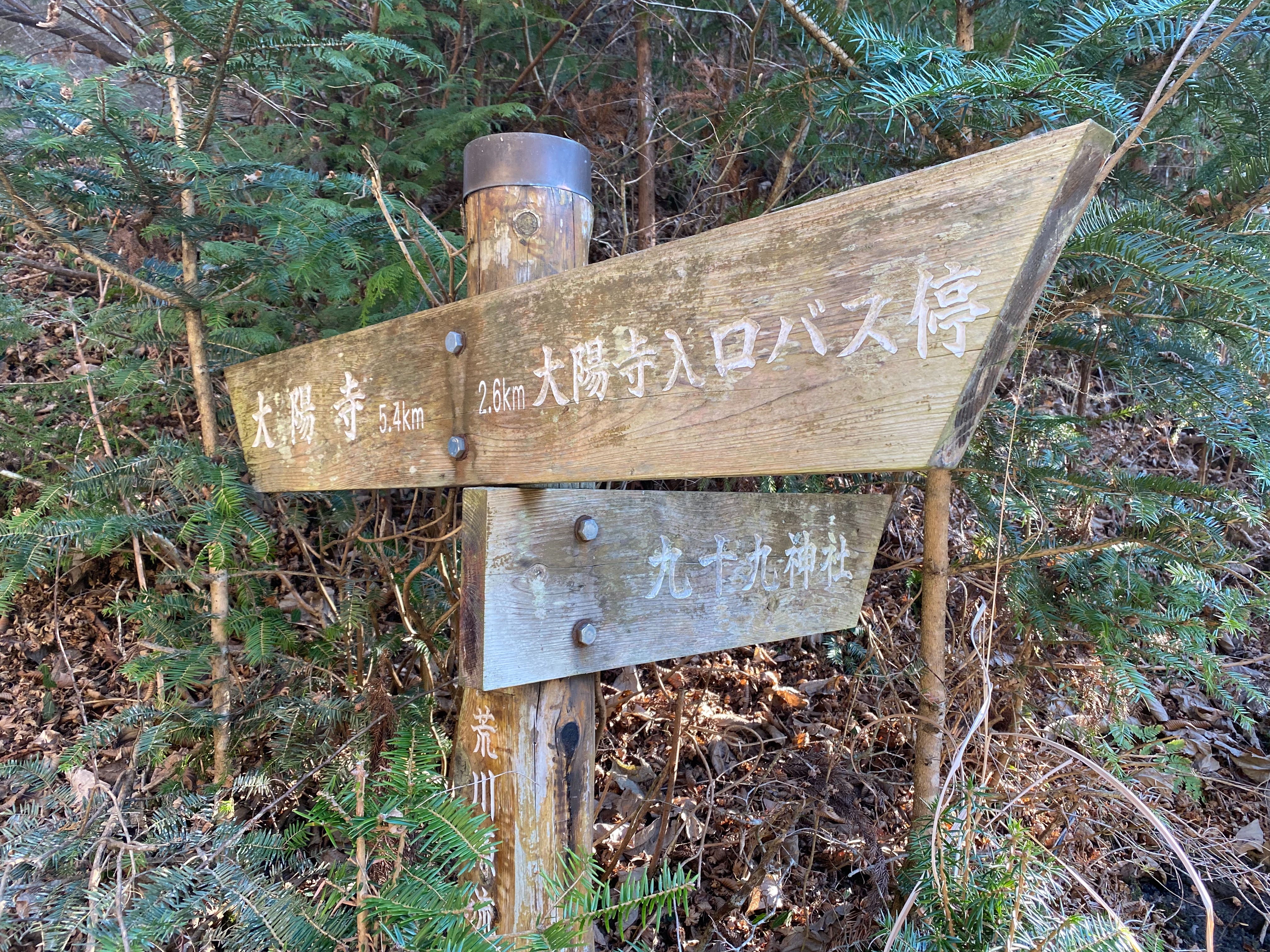 f:id:yoyorinrinyuyu:20230206131132j:image