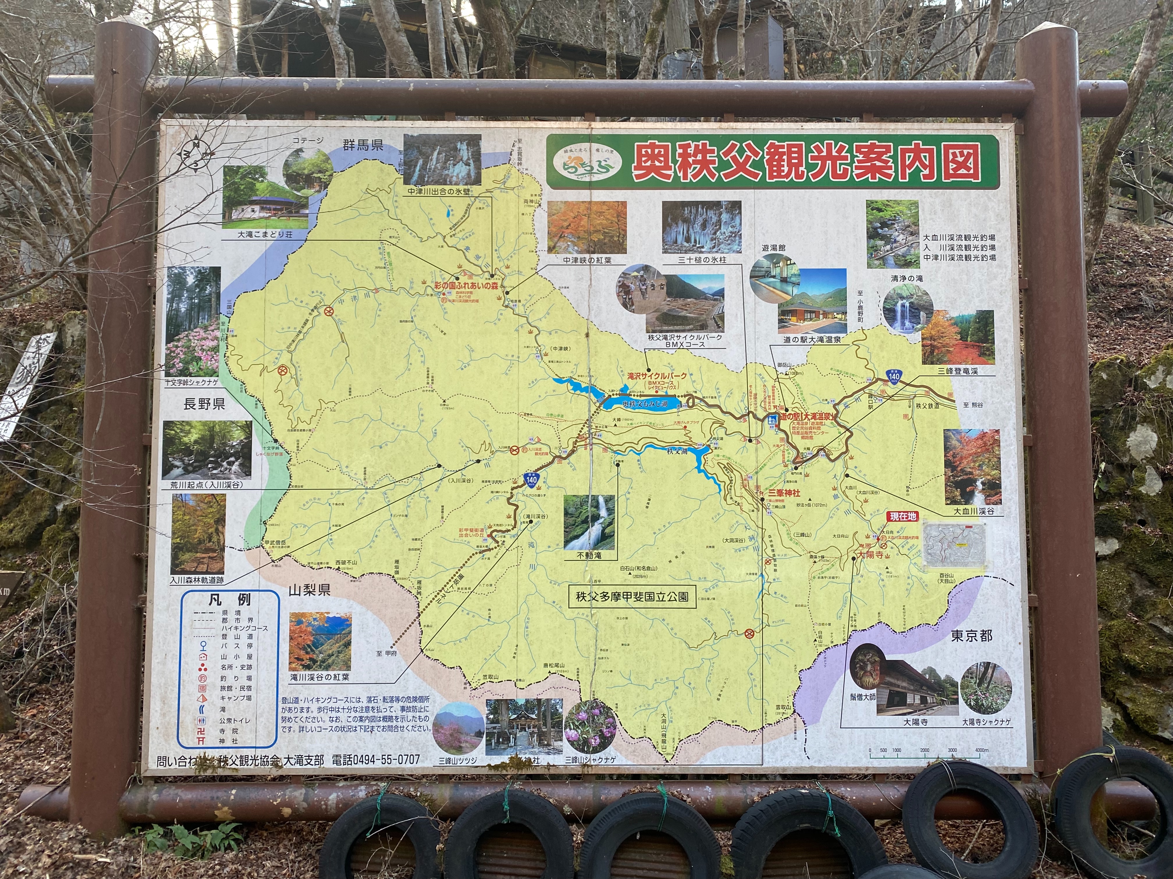 f:id:yoyorinrinyuyu:20230206131152j:image