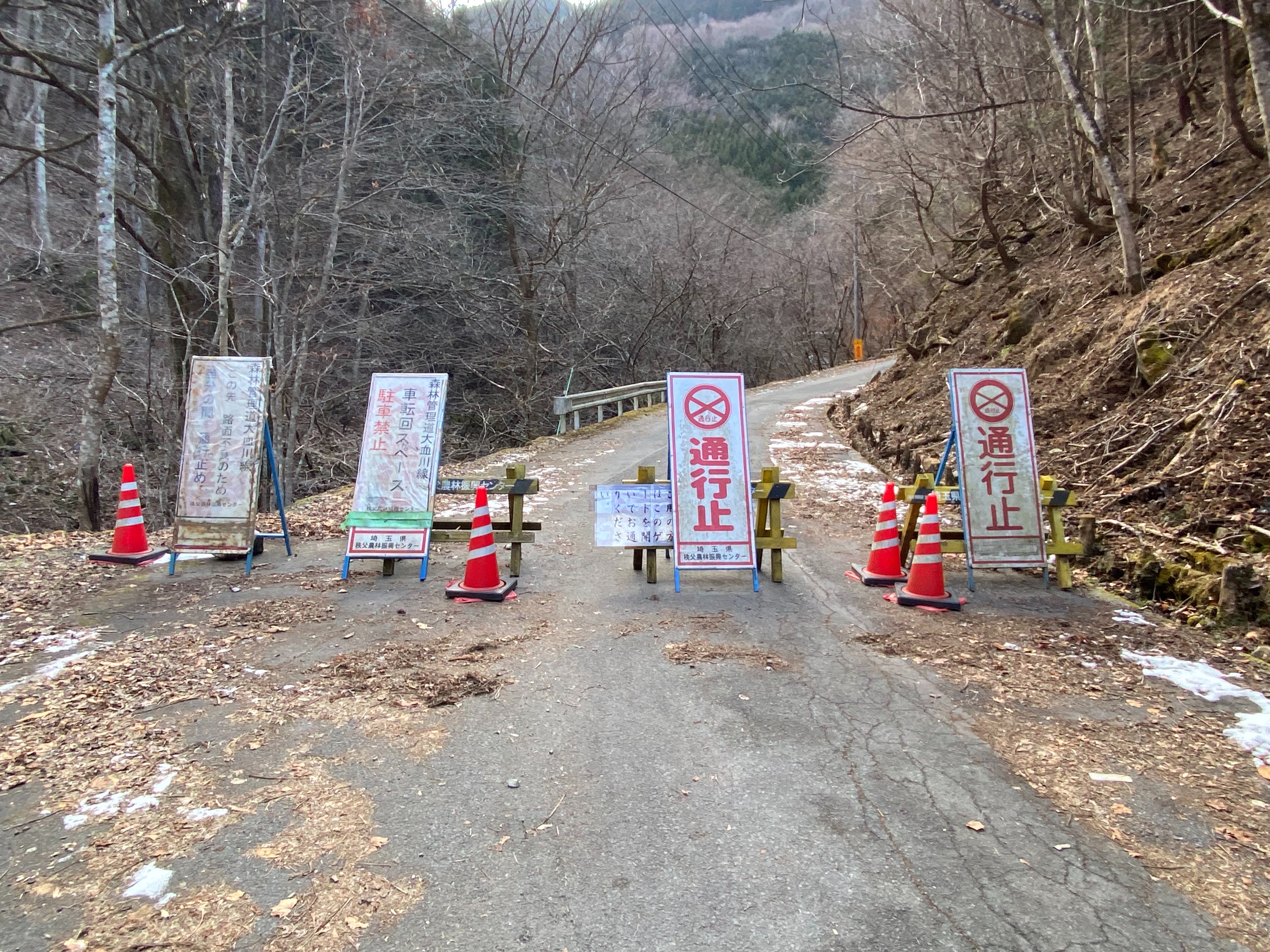 f:id:yoyorinrinyuyu:20230206131202j:image