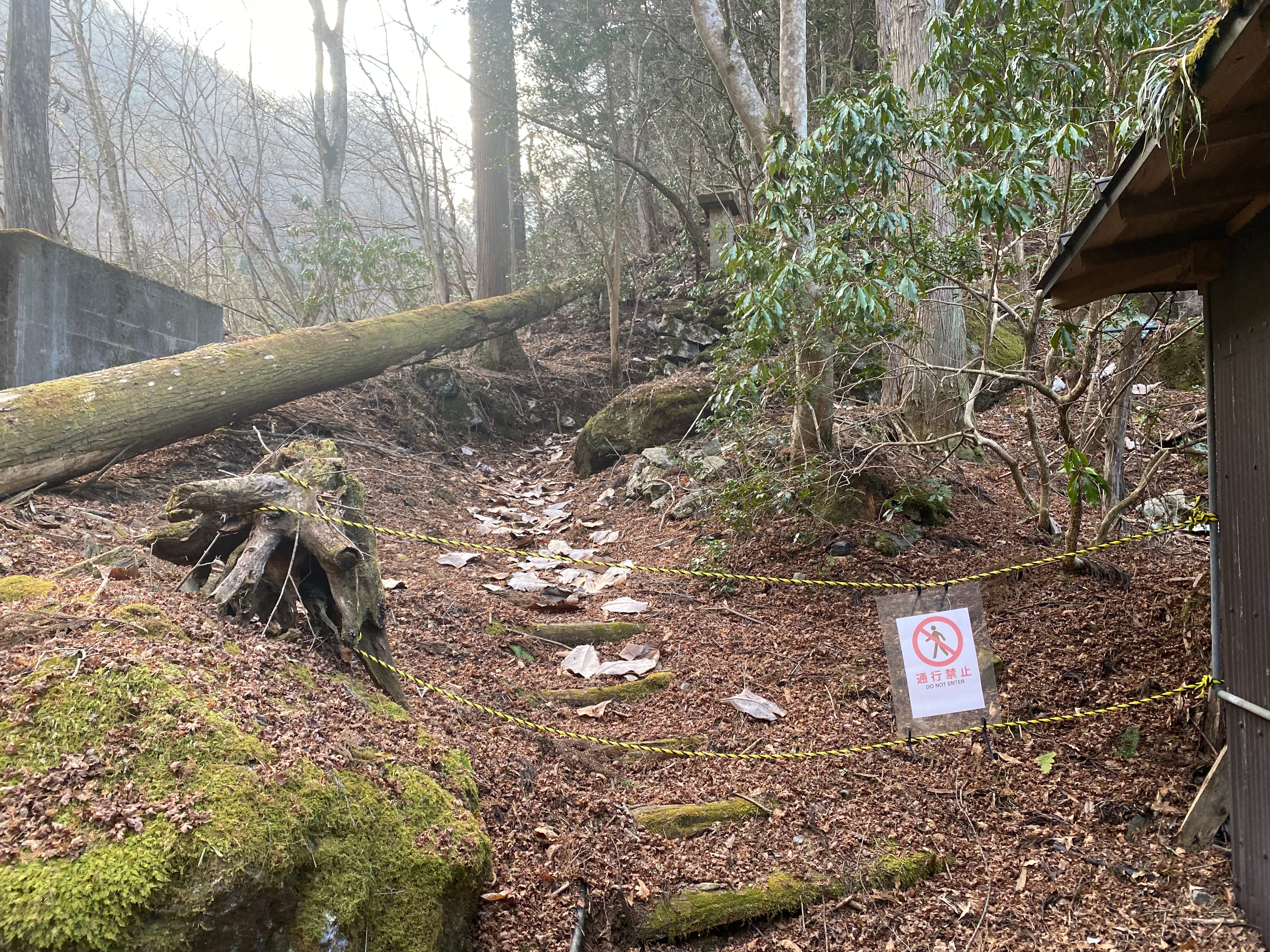 f:id:yoyorinrinyuyu:20230206131231j:image