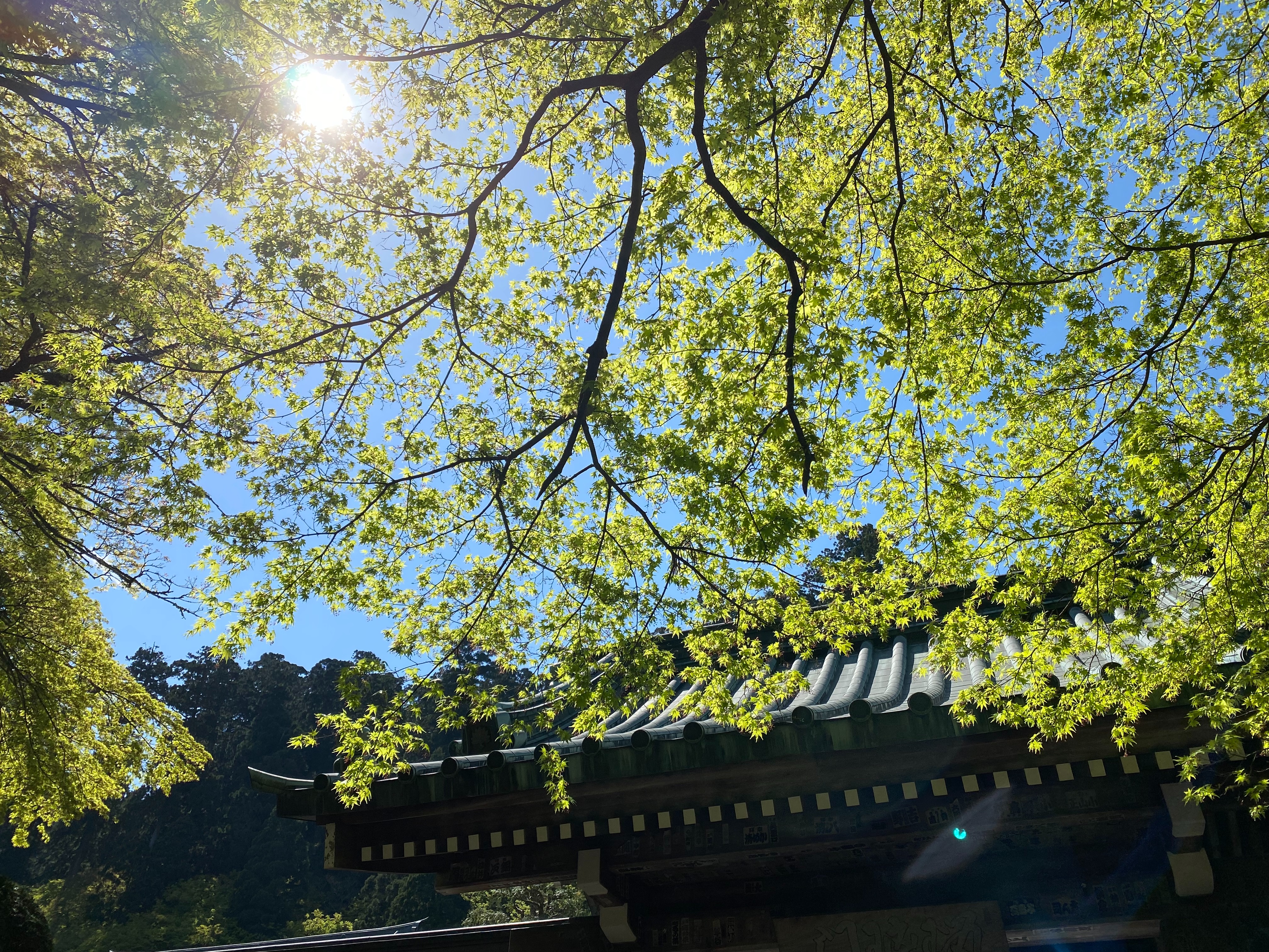 f:id:yoyorinrinyuyu:20230409222827j:image