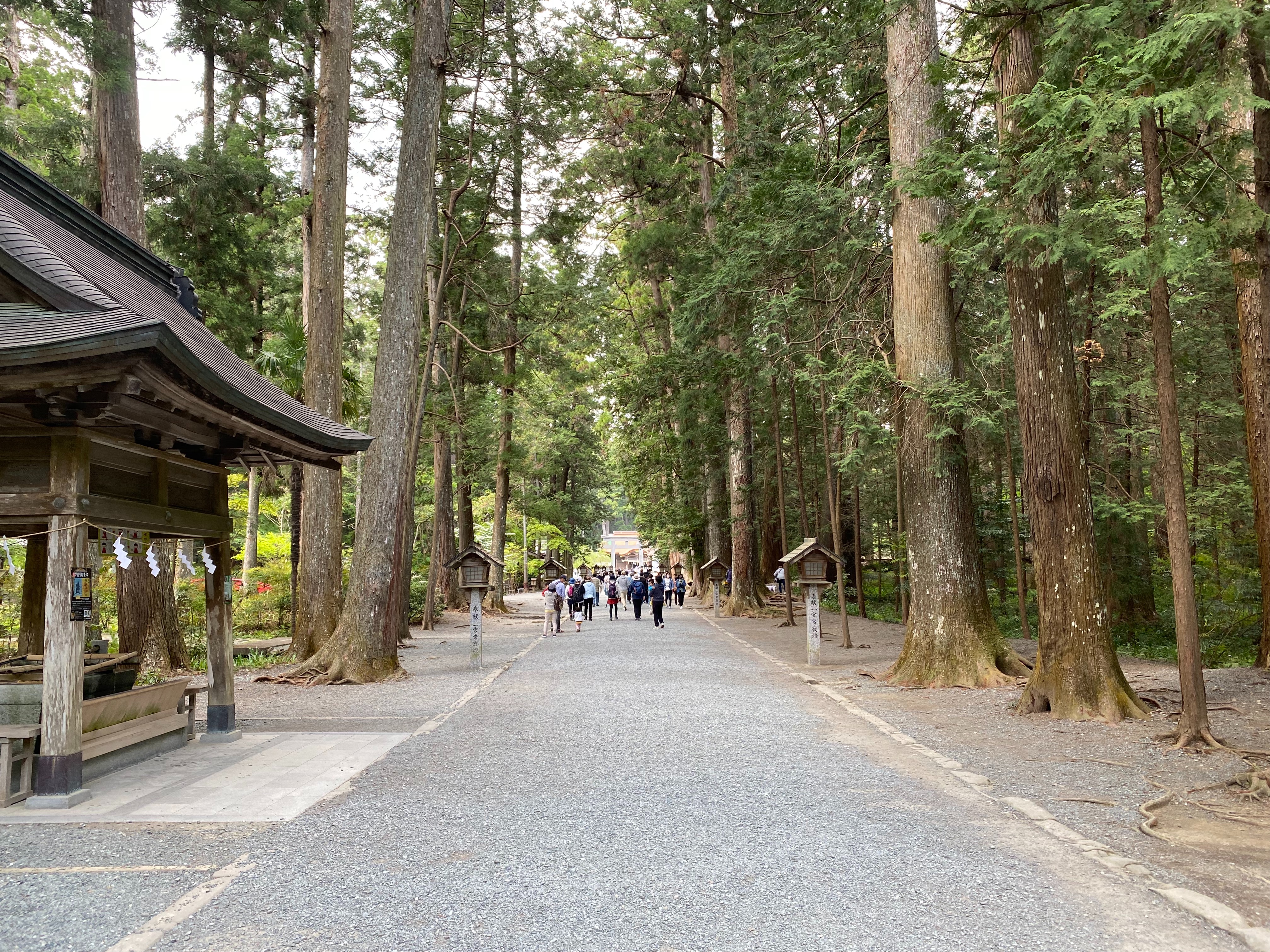 f:id:yoyorinrinyuyu:20230426092413j:image