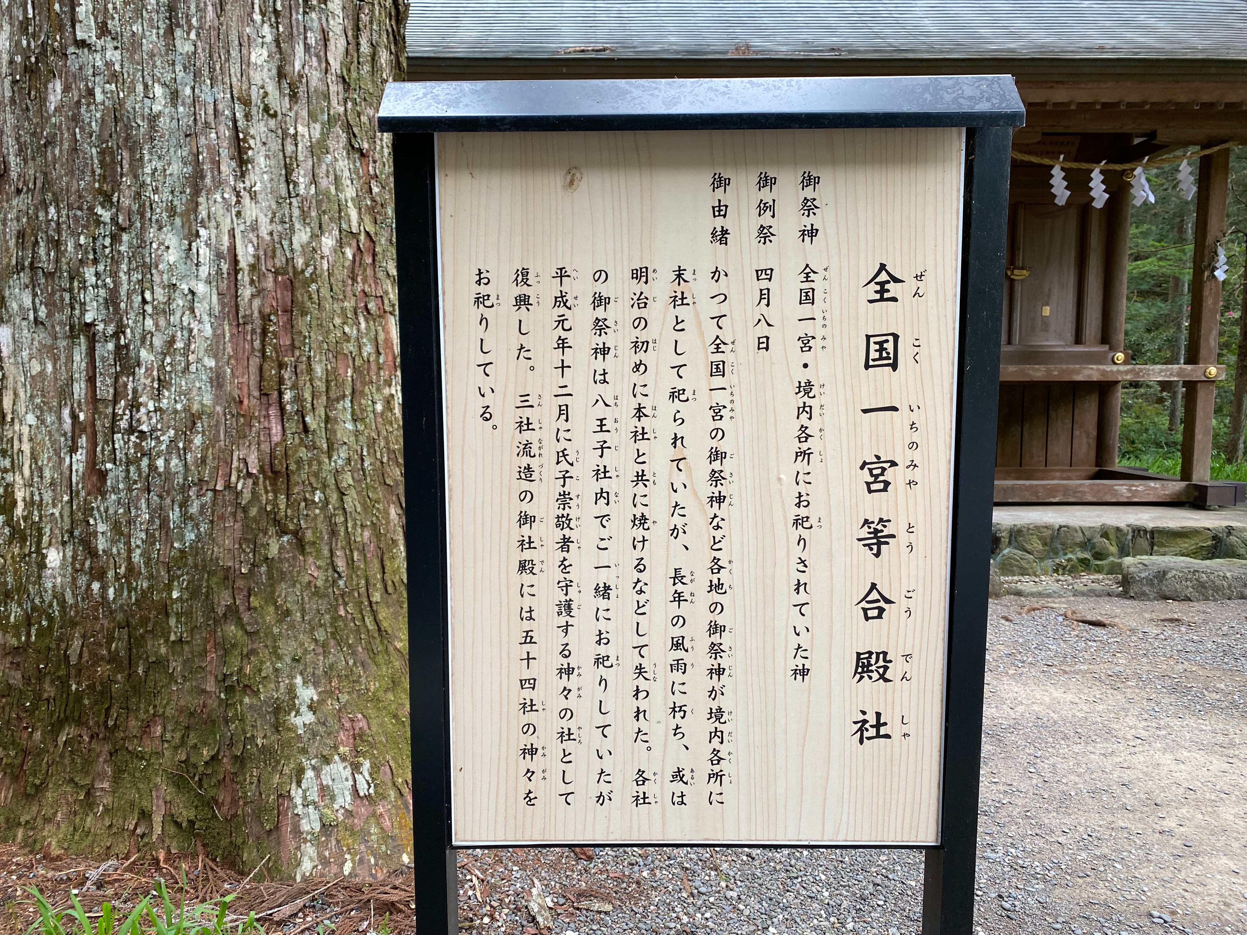 f:id:yoyorinrinyuyu:20230426092447j:image