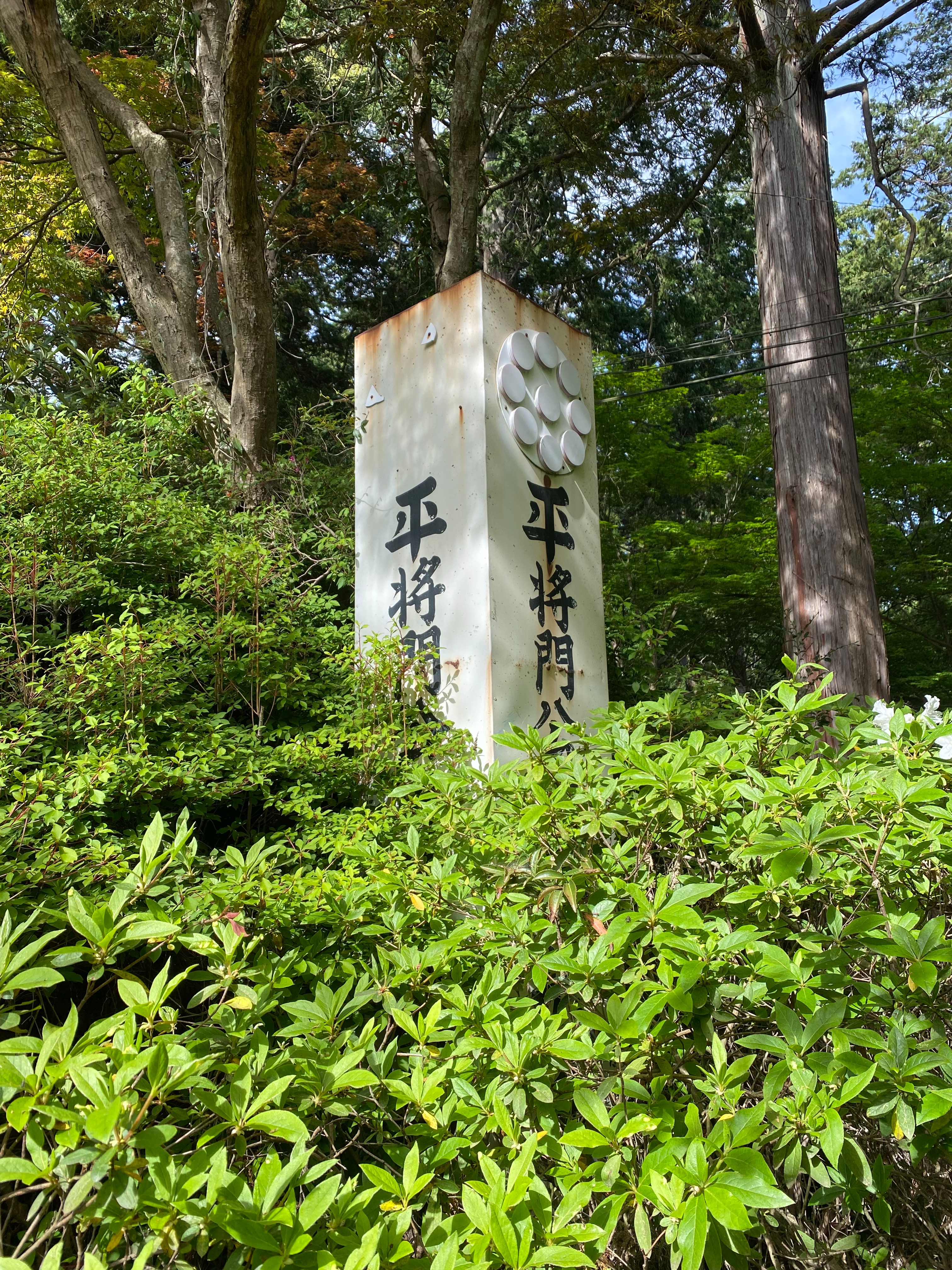f:id:yoyorinrinyuyu:20230430120522j:image