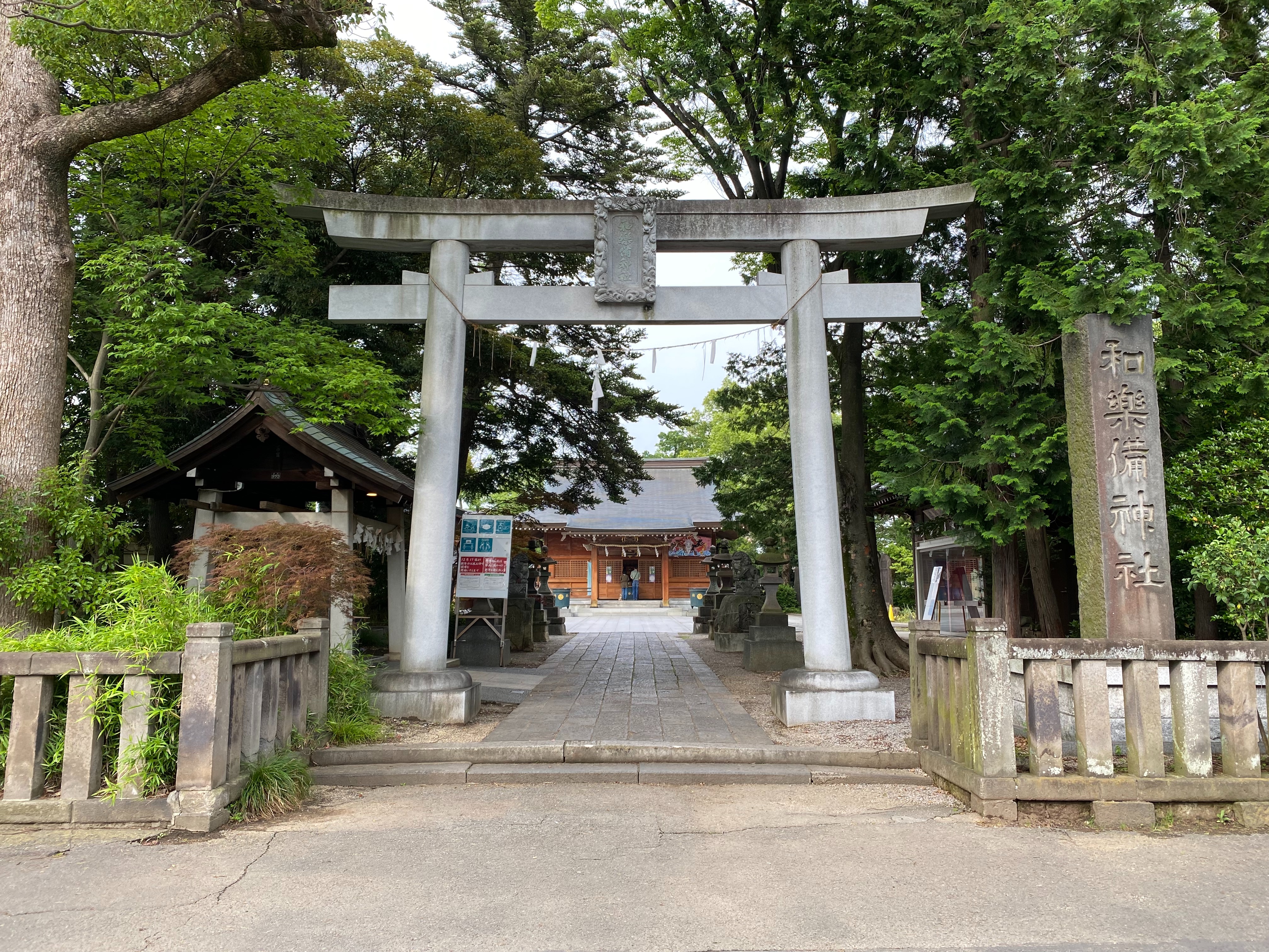 f:id:yoyorinrinyuyu:20230611105340j:image