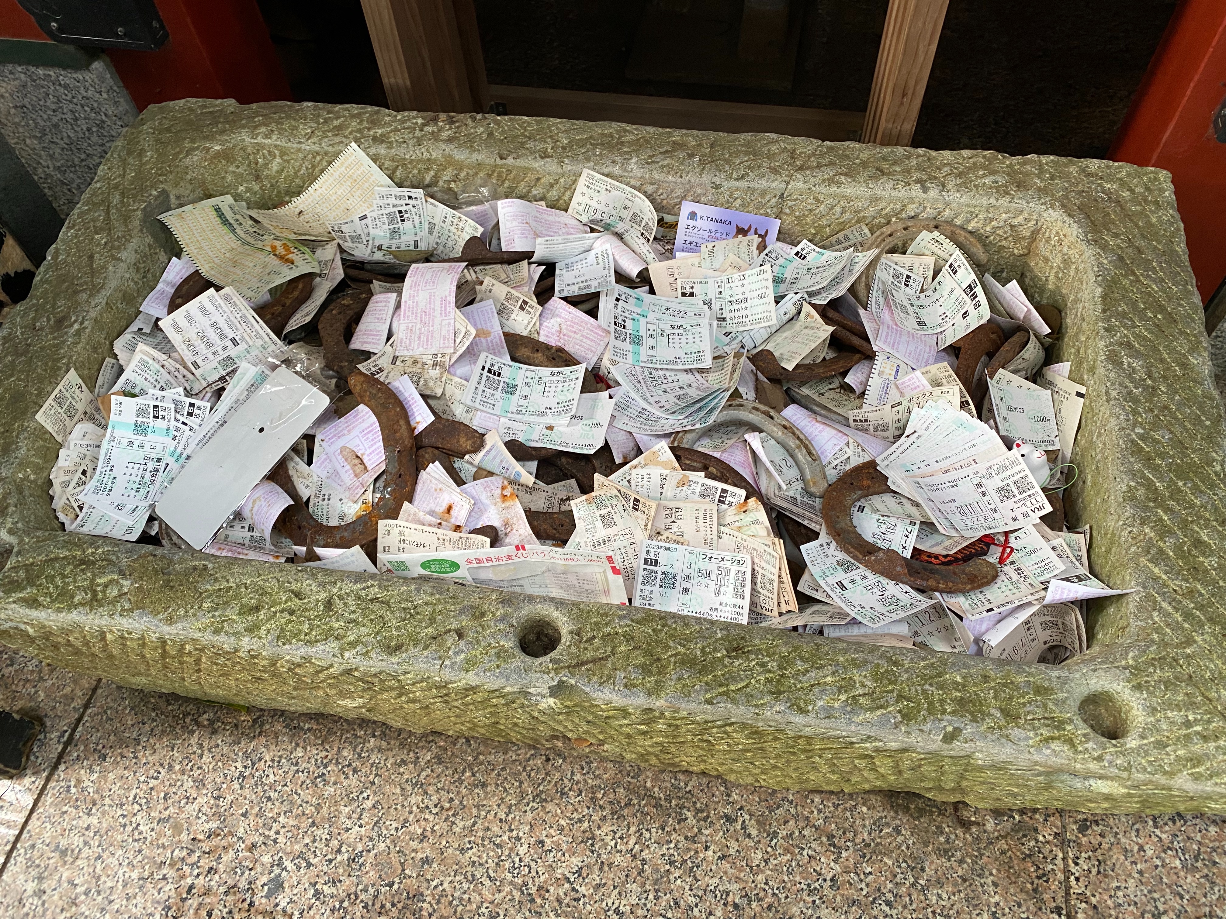 f:id:yoyorinrinyuyu:20230702084625j:image