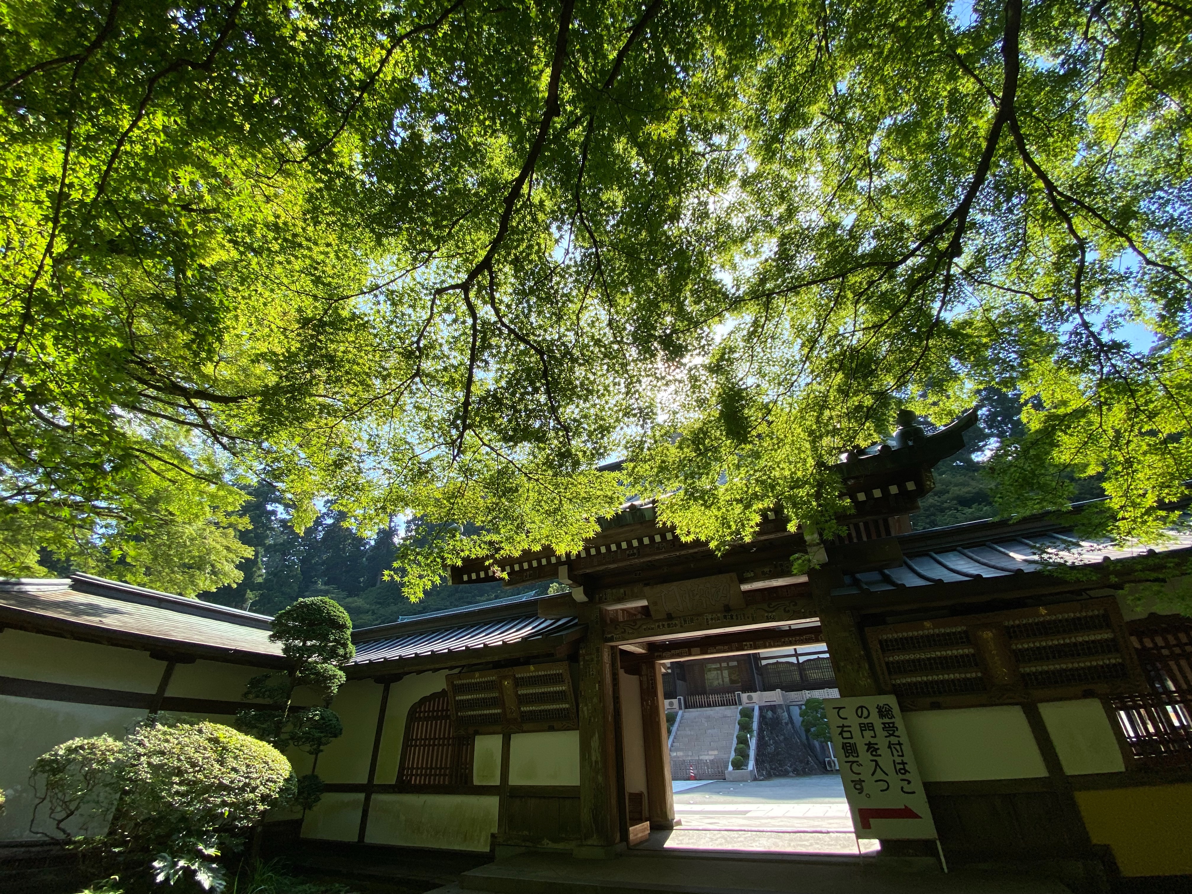 f:id:yoyorinrinyuyu:20230812190144j:image