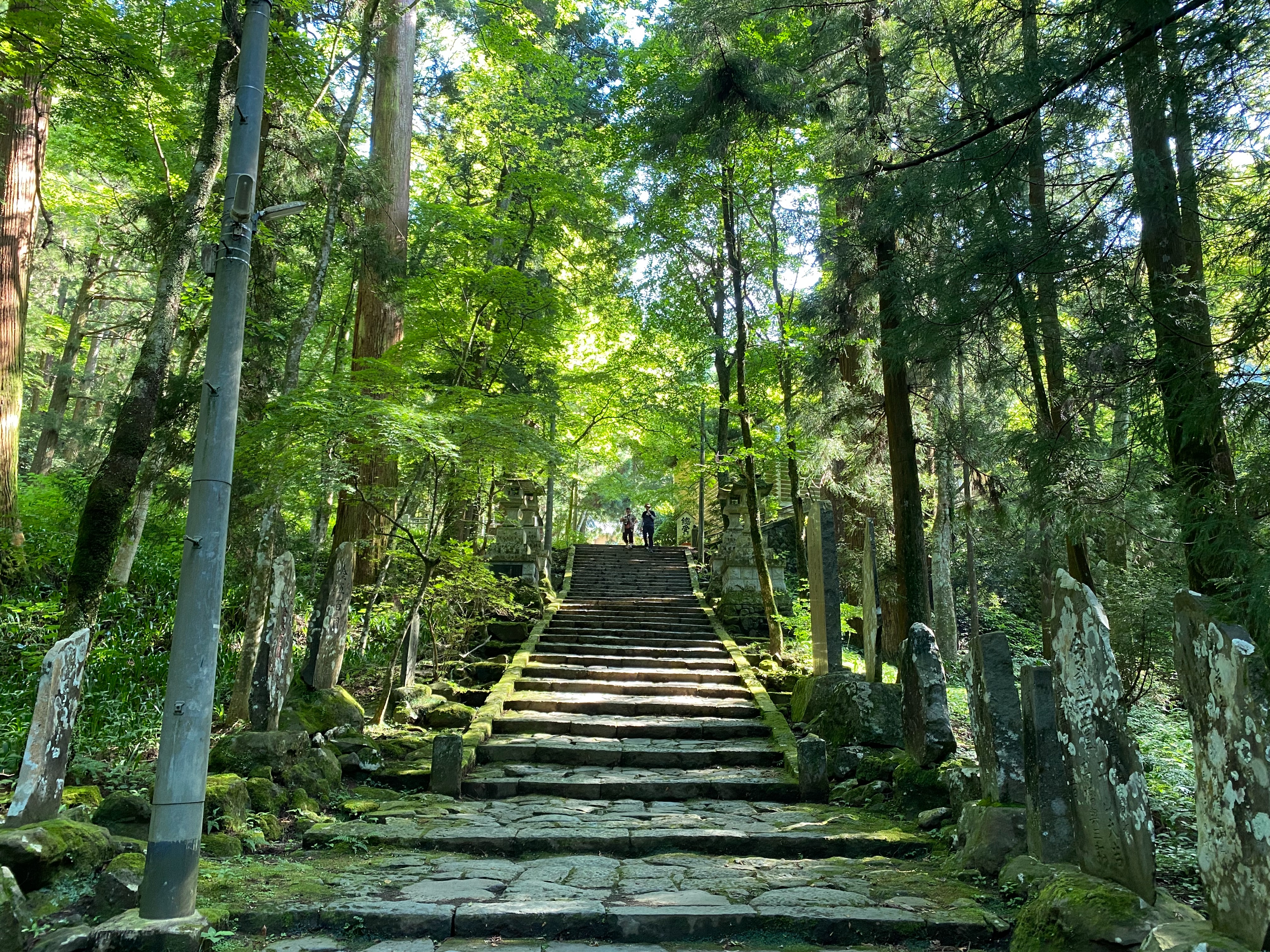 f:id:yoyorinrinyuyu:20230812200323j:image