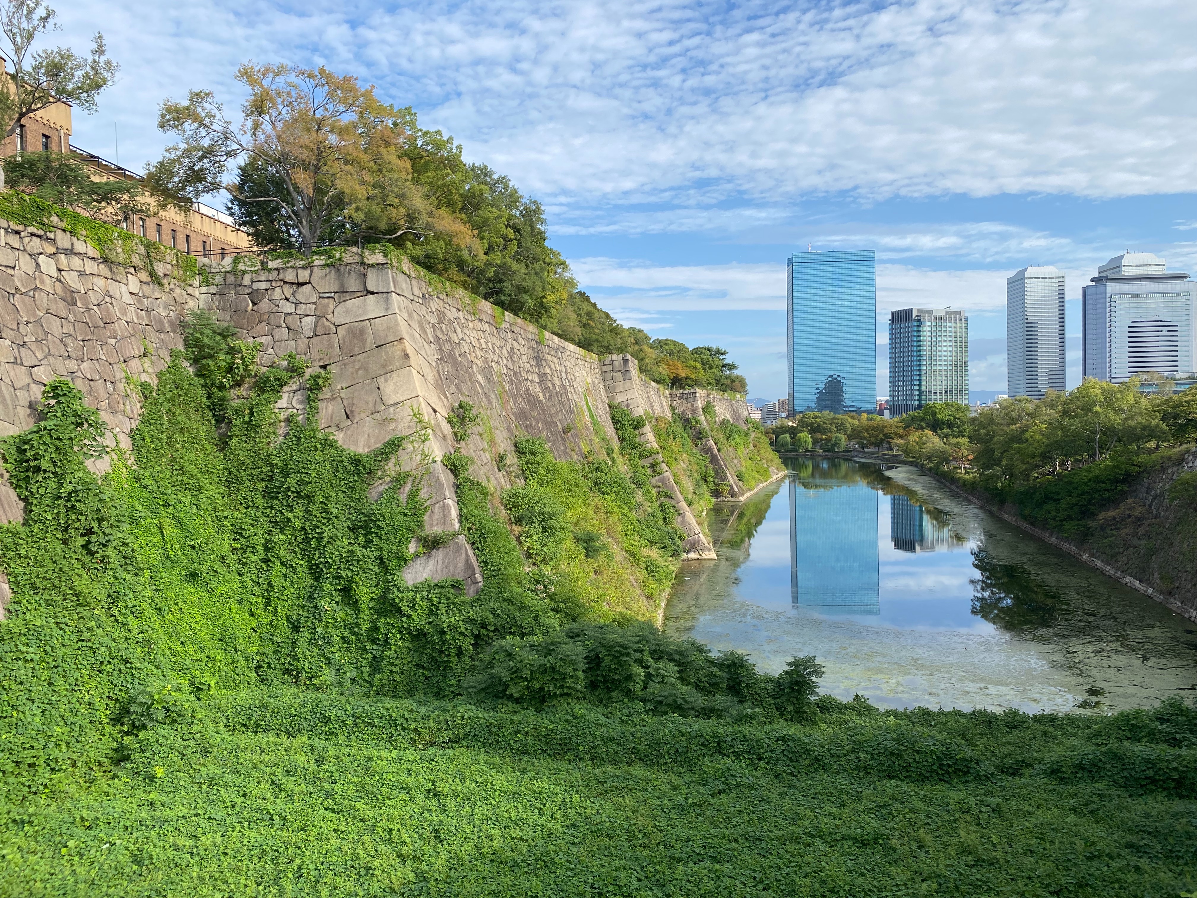 f:id:yoyorinrinyuyu:20231009112822j:image