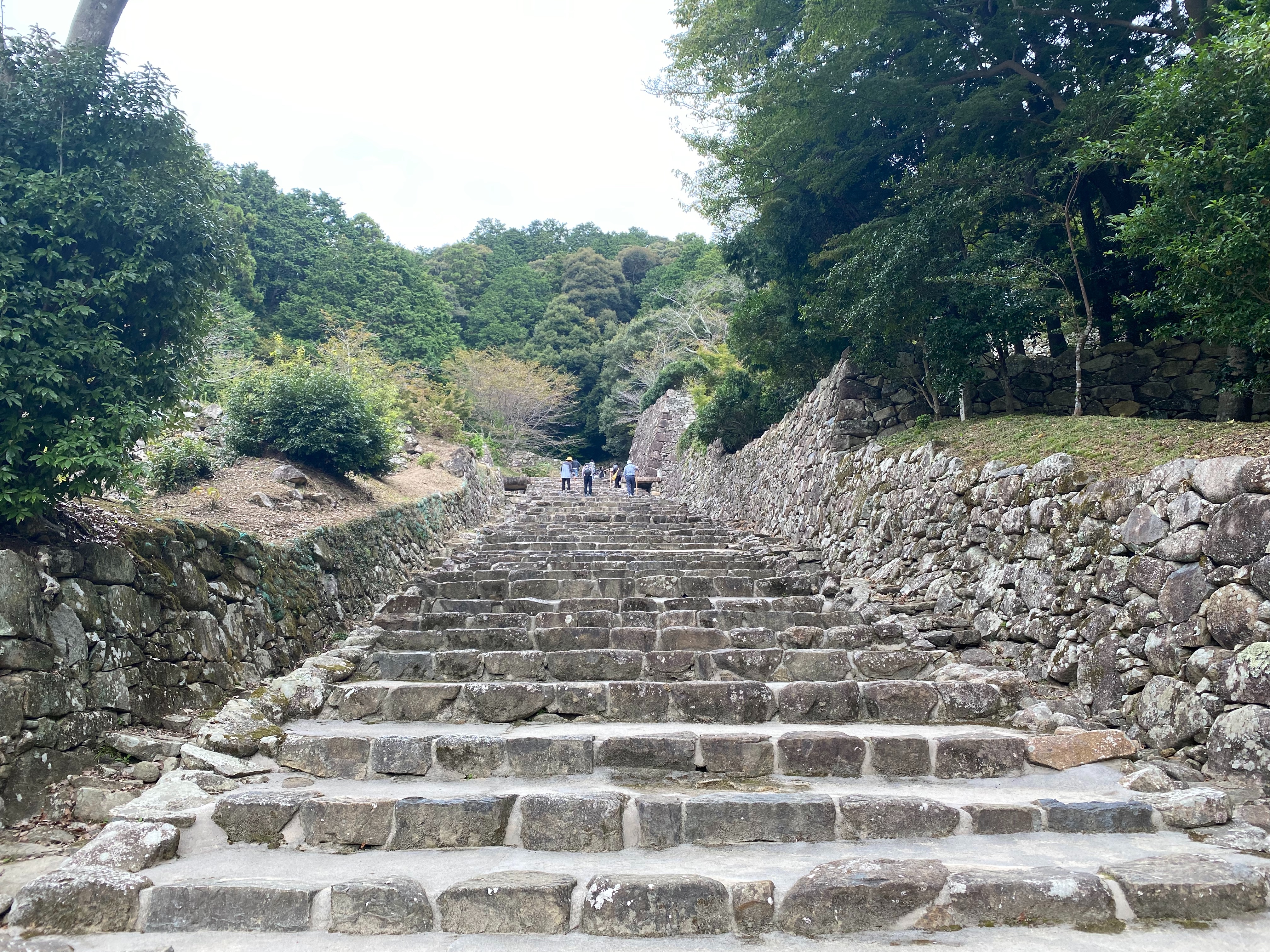 f:id:yoyorinrinyuyu:20231009114240j:image