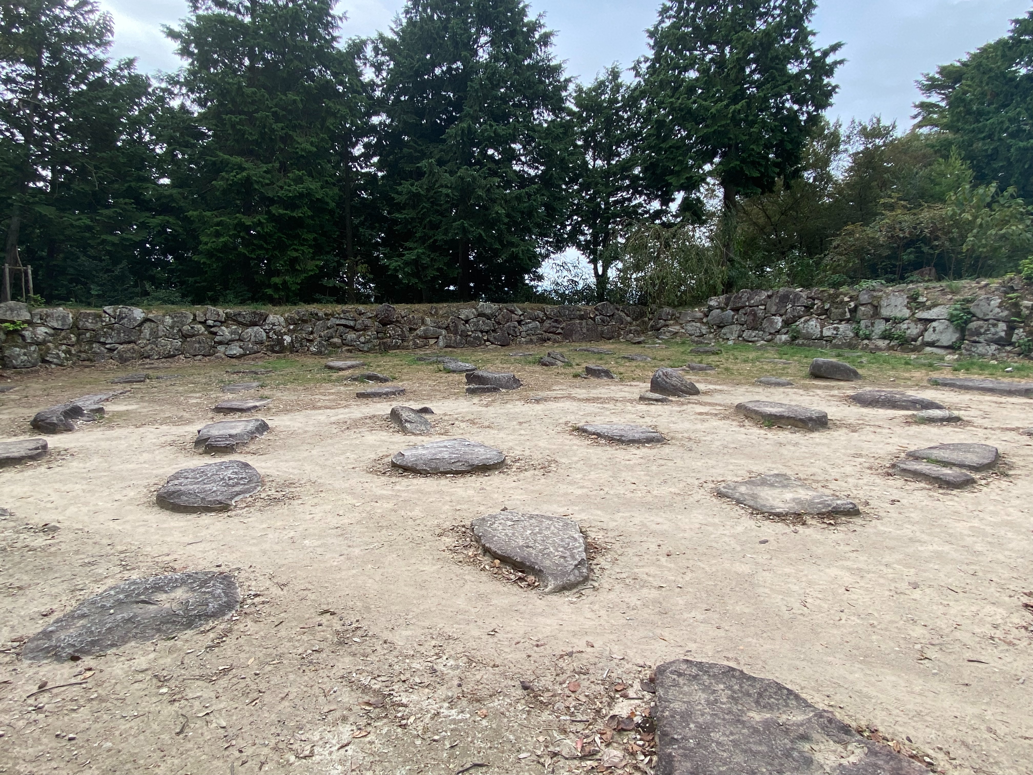 f:id:yoyorinrinyuyu:20231009114310j:image