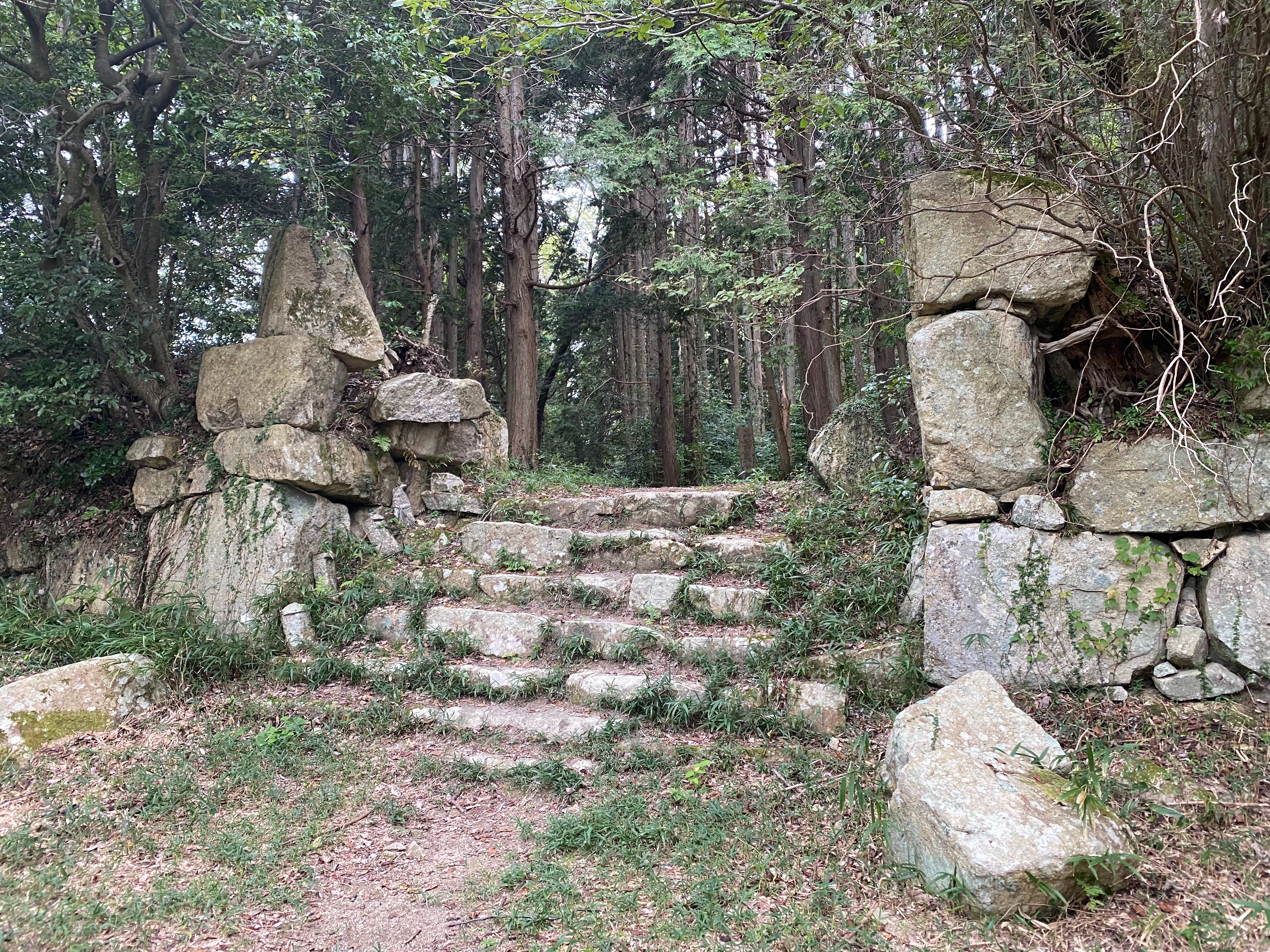 f:id:yoyorinrinyuyu:20231009155532j:image