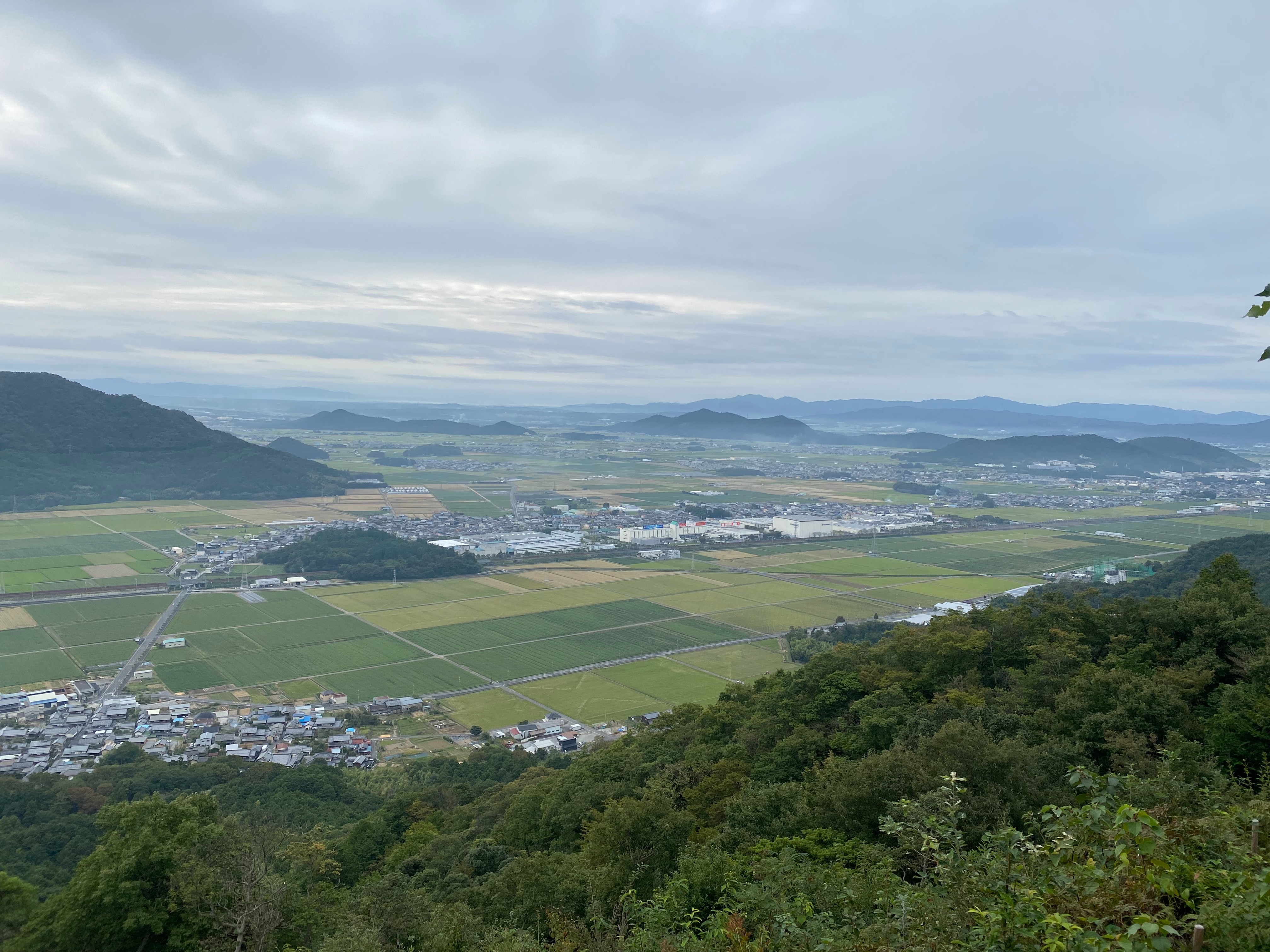 f:id:yoyorinrinyuyu:20231009155605j:image