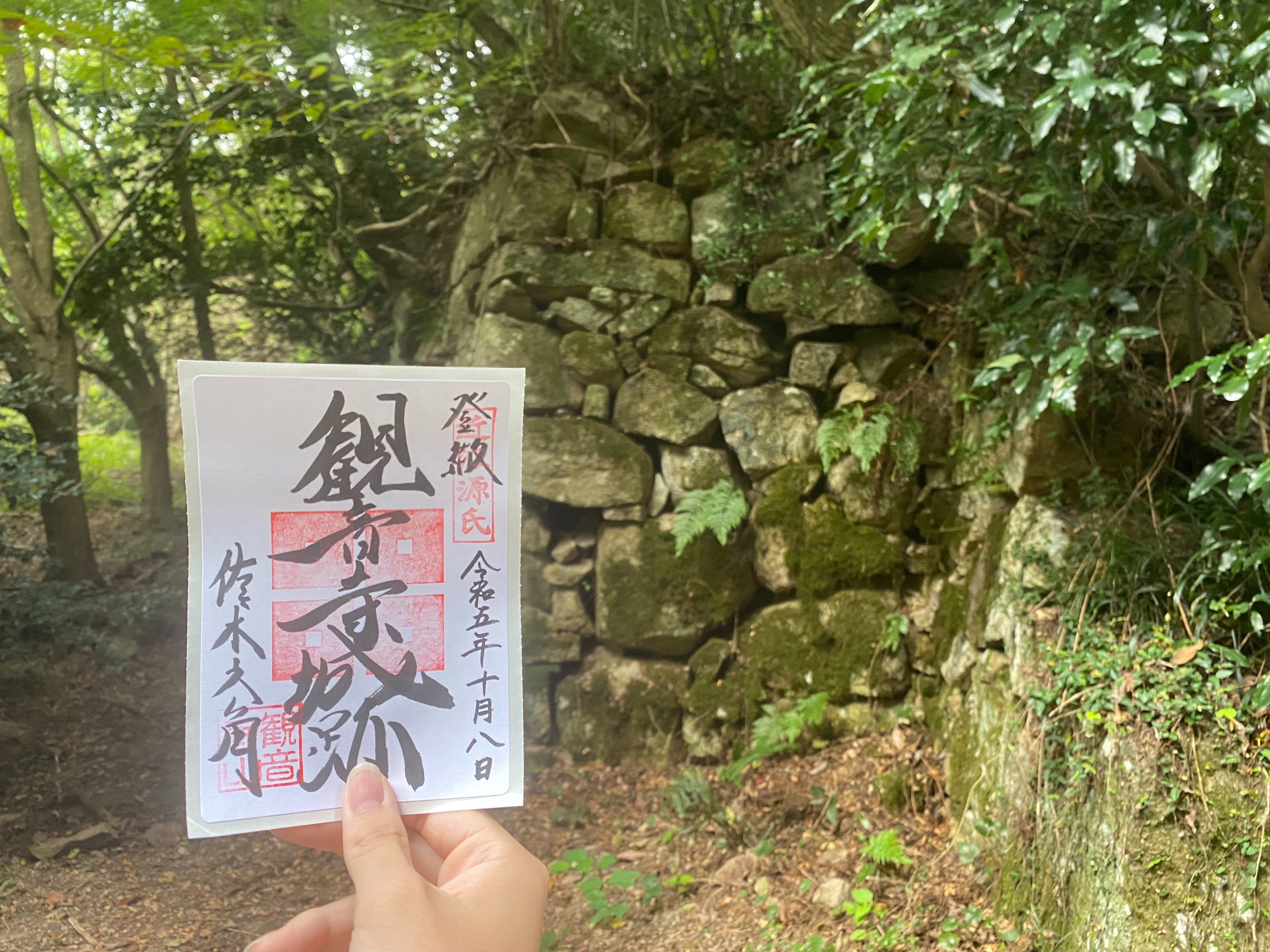 f:id:yoyorinrinyuyu:20231009155631j:image