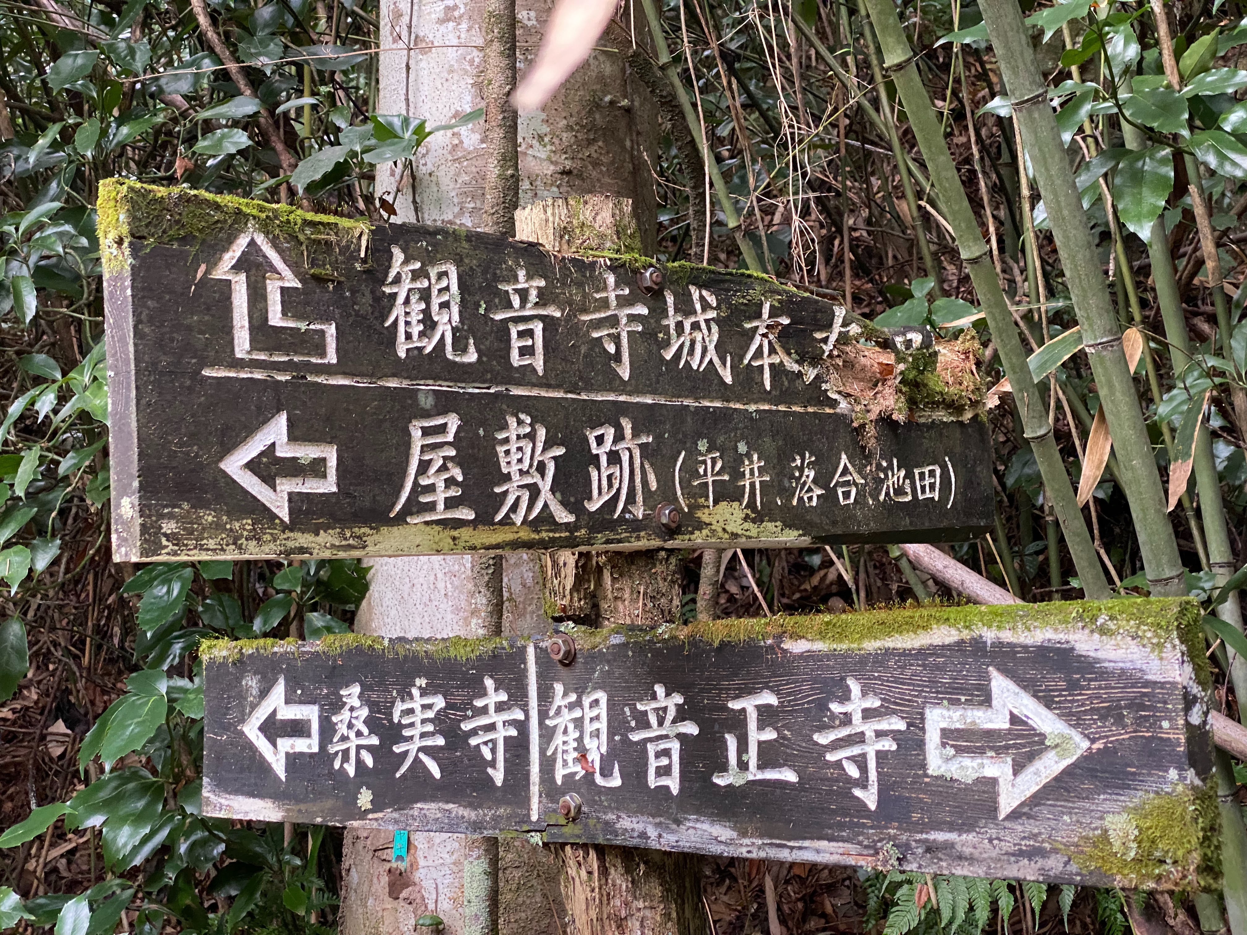 f:id:yoyorinrinyuyu:20231009155717j:image