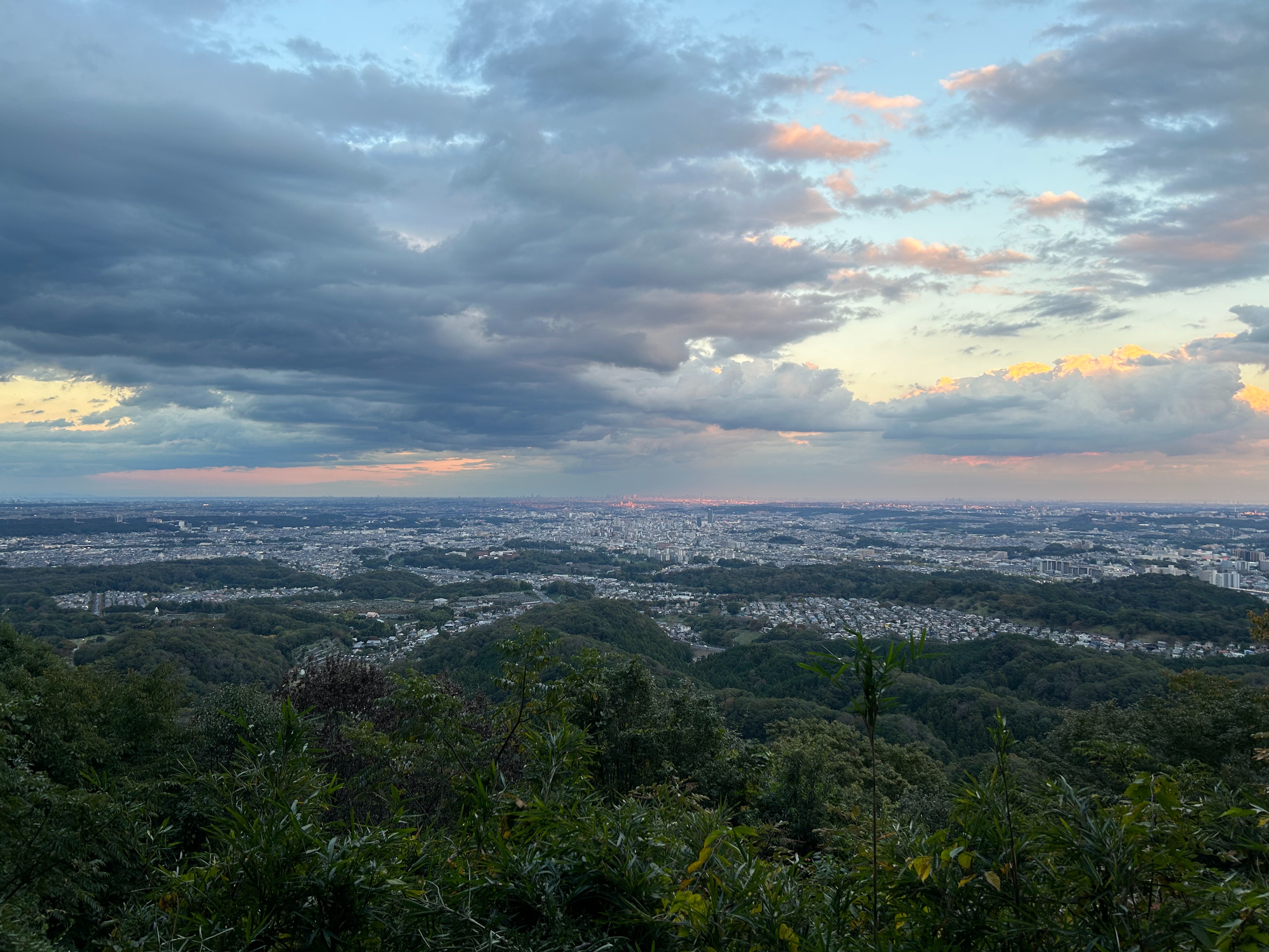 f:id:yoyorinrinyuyu:20231023114118j:image