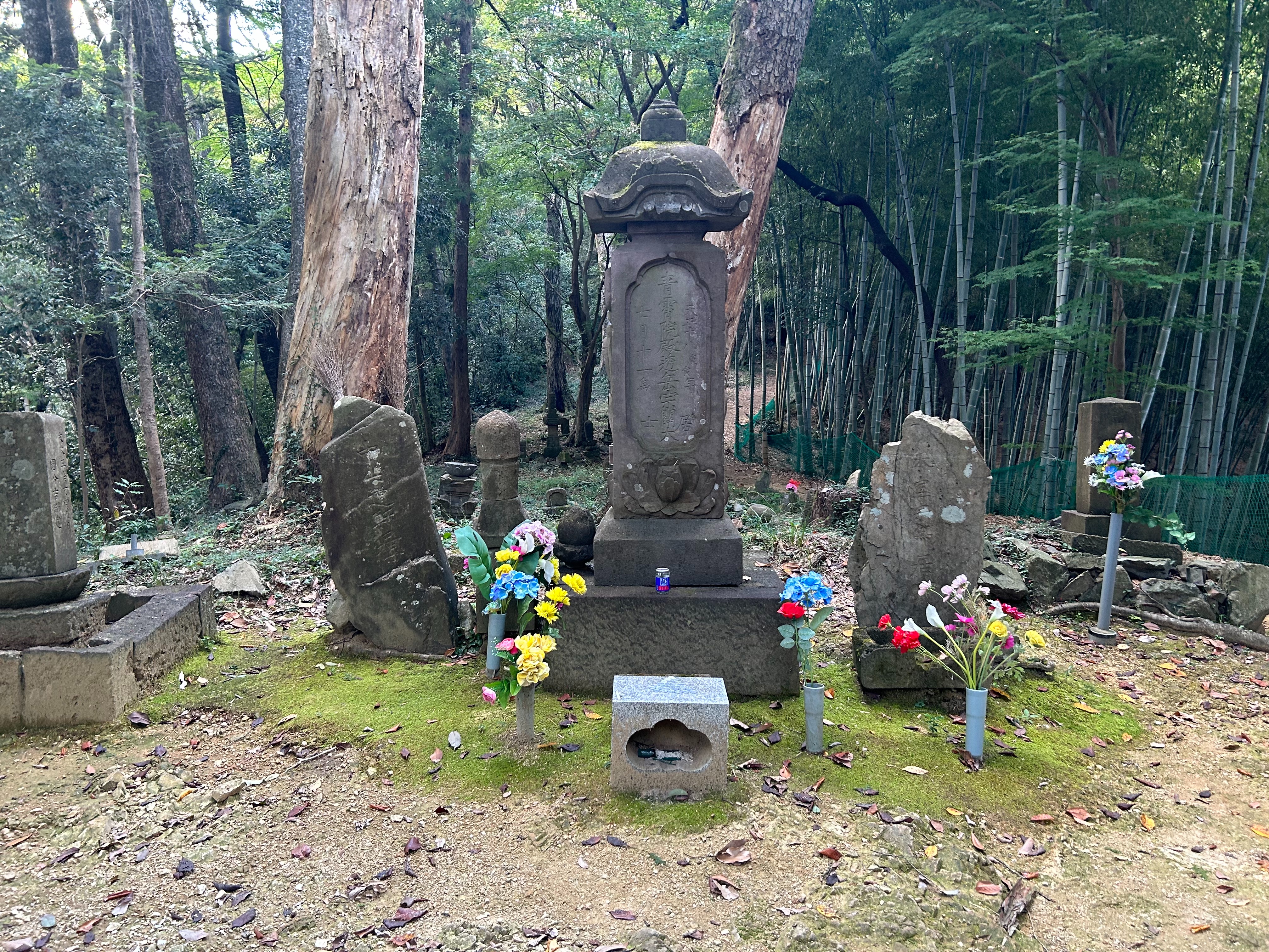 f:id:yoyorinrinyuyu:20231023114154j:image