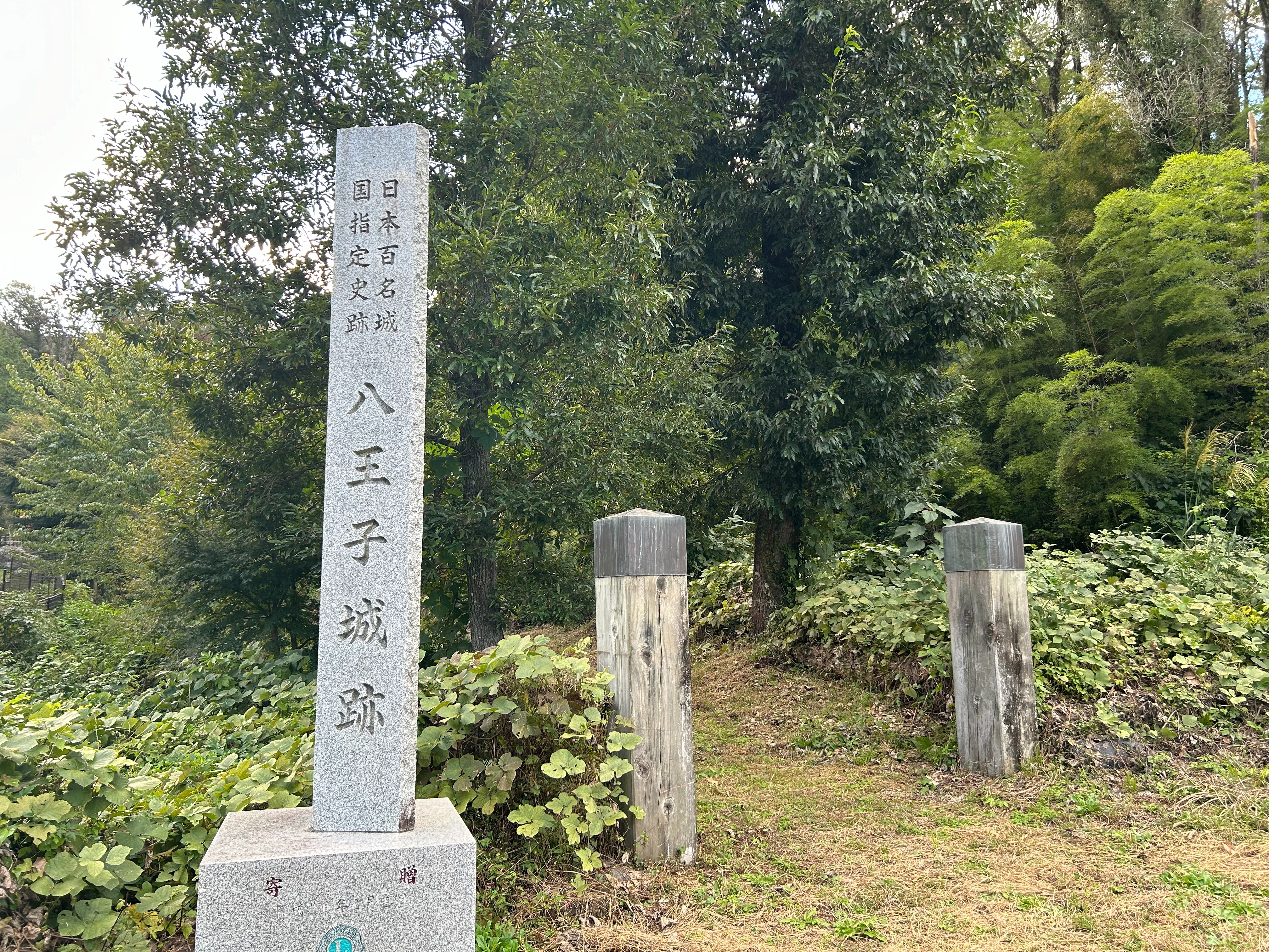 f:id:yoyorinrinyuyu:20231023114238j:image