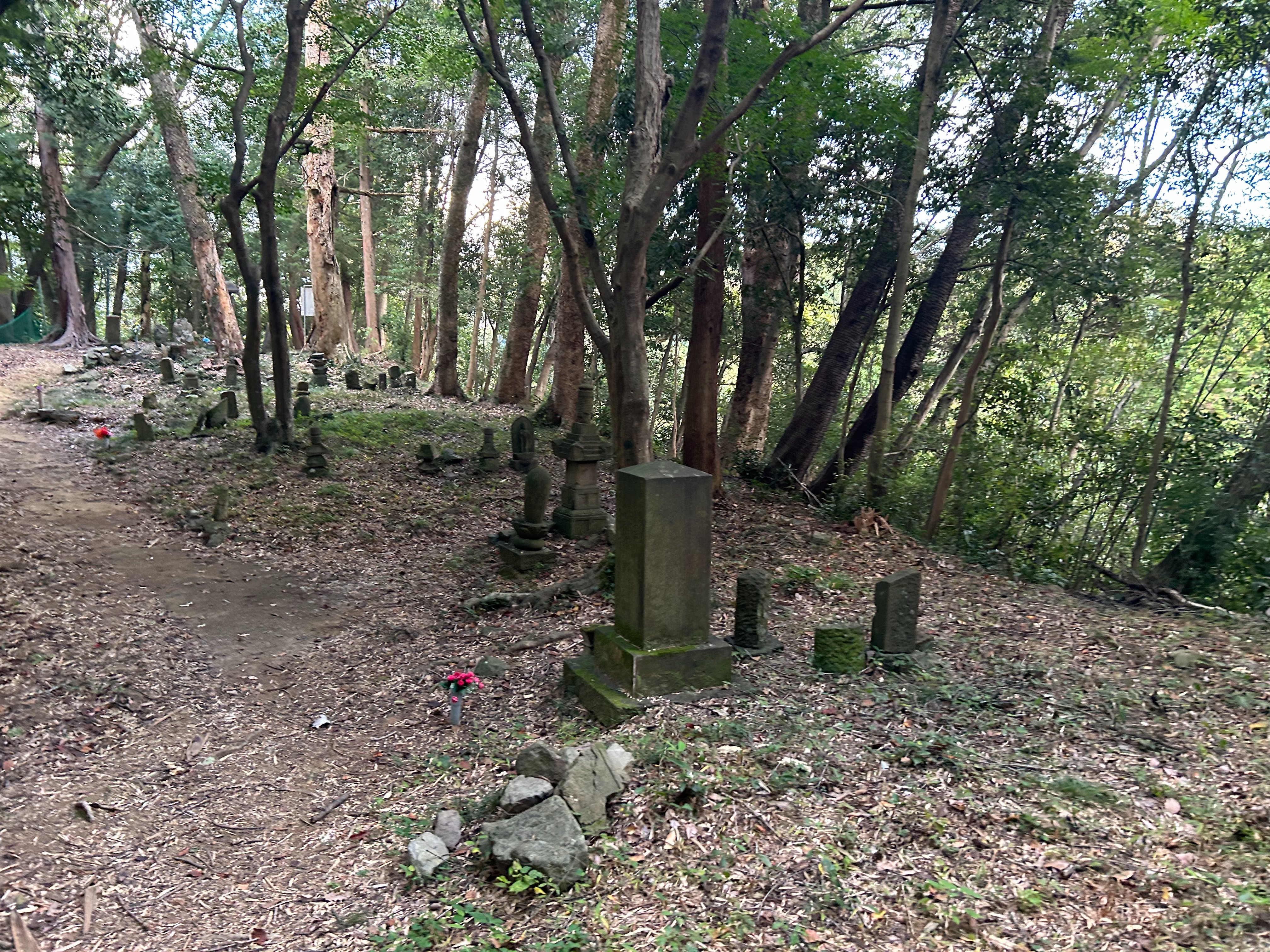 f:id:yoyorinrinyuyu:20231023114310j:image