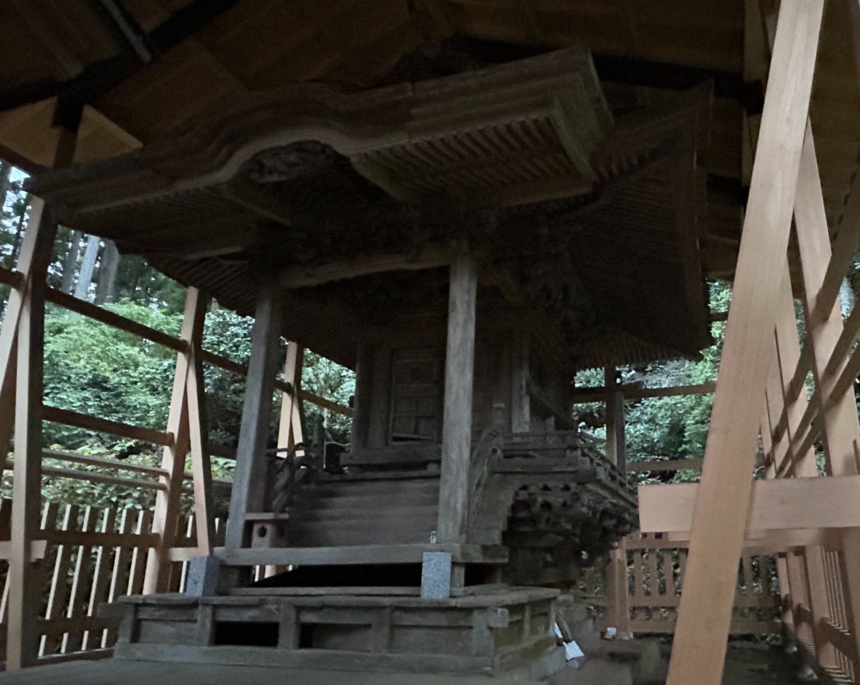 f:id:yoyorinrinyuyu:20231023114431j:image