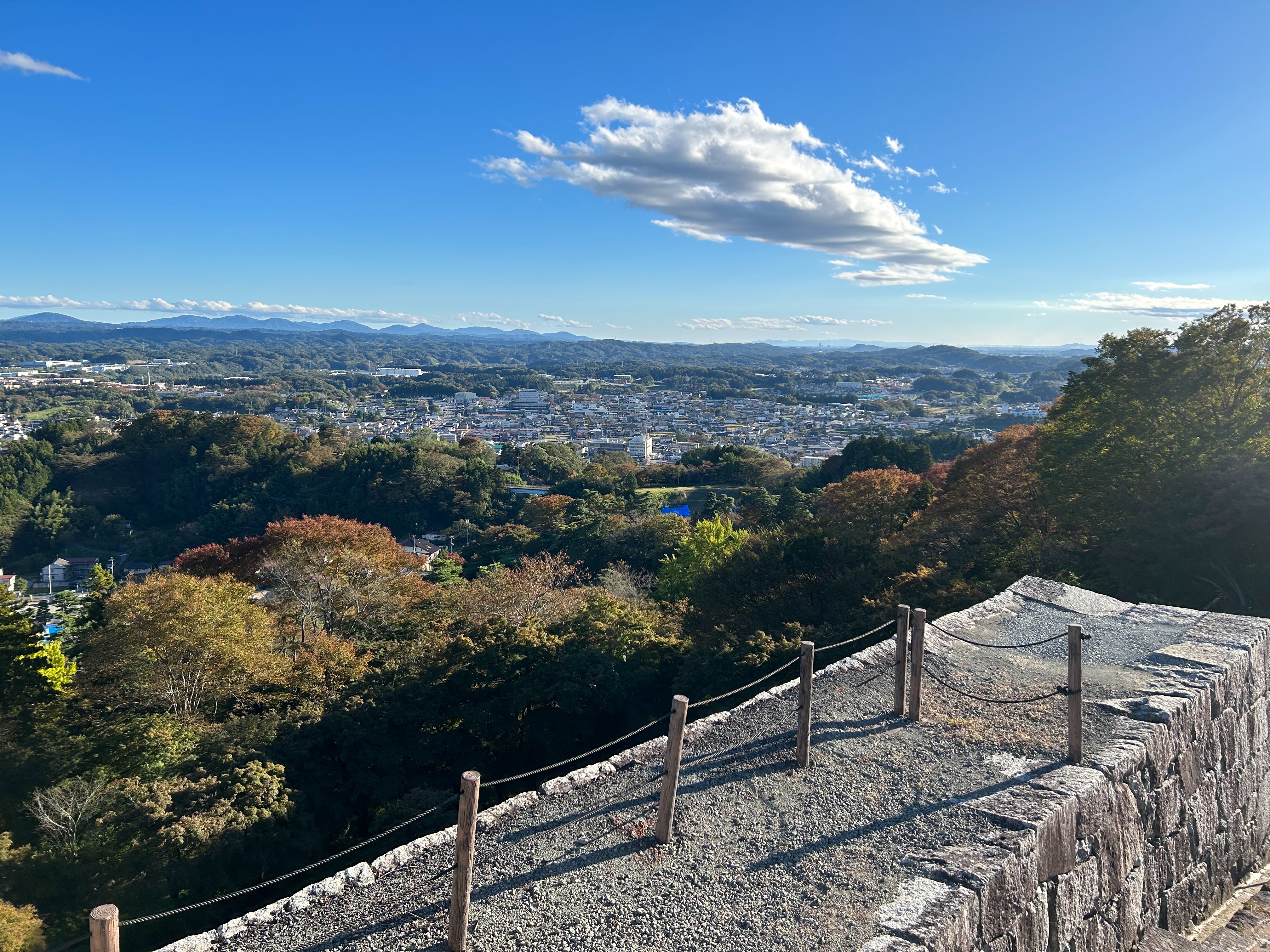 f:id:yoyorinrinyuyu:20231023123140j:image