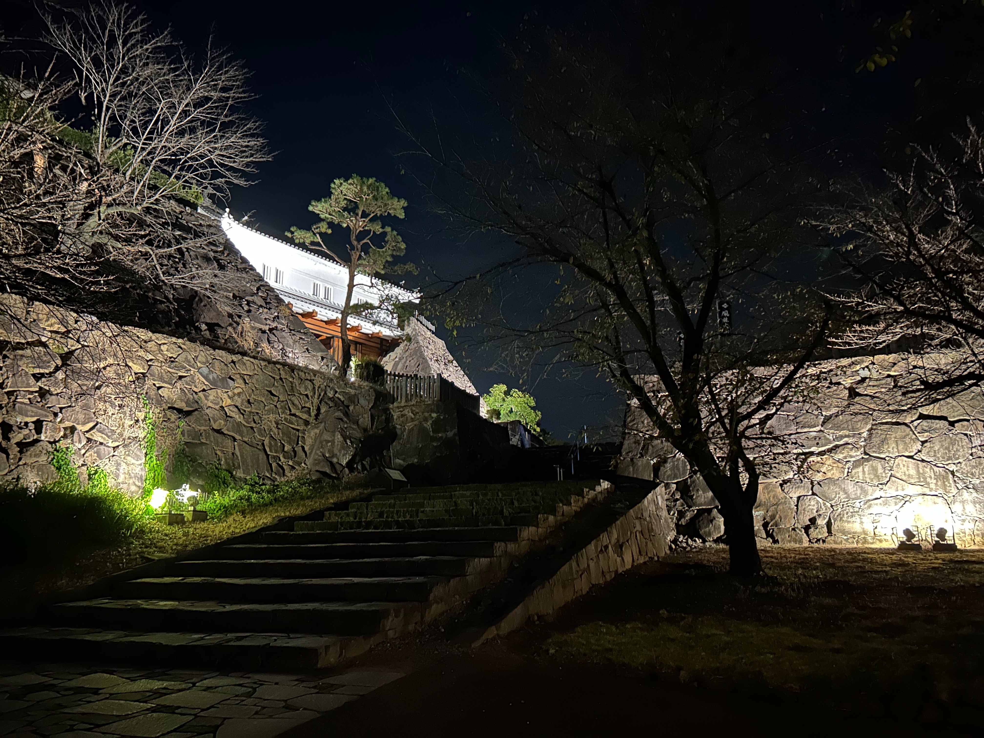 f:id:yoyorinrinyuyu:20231028083618j:image