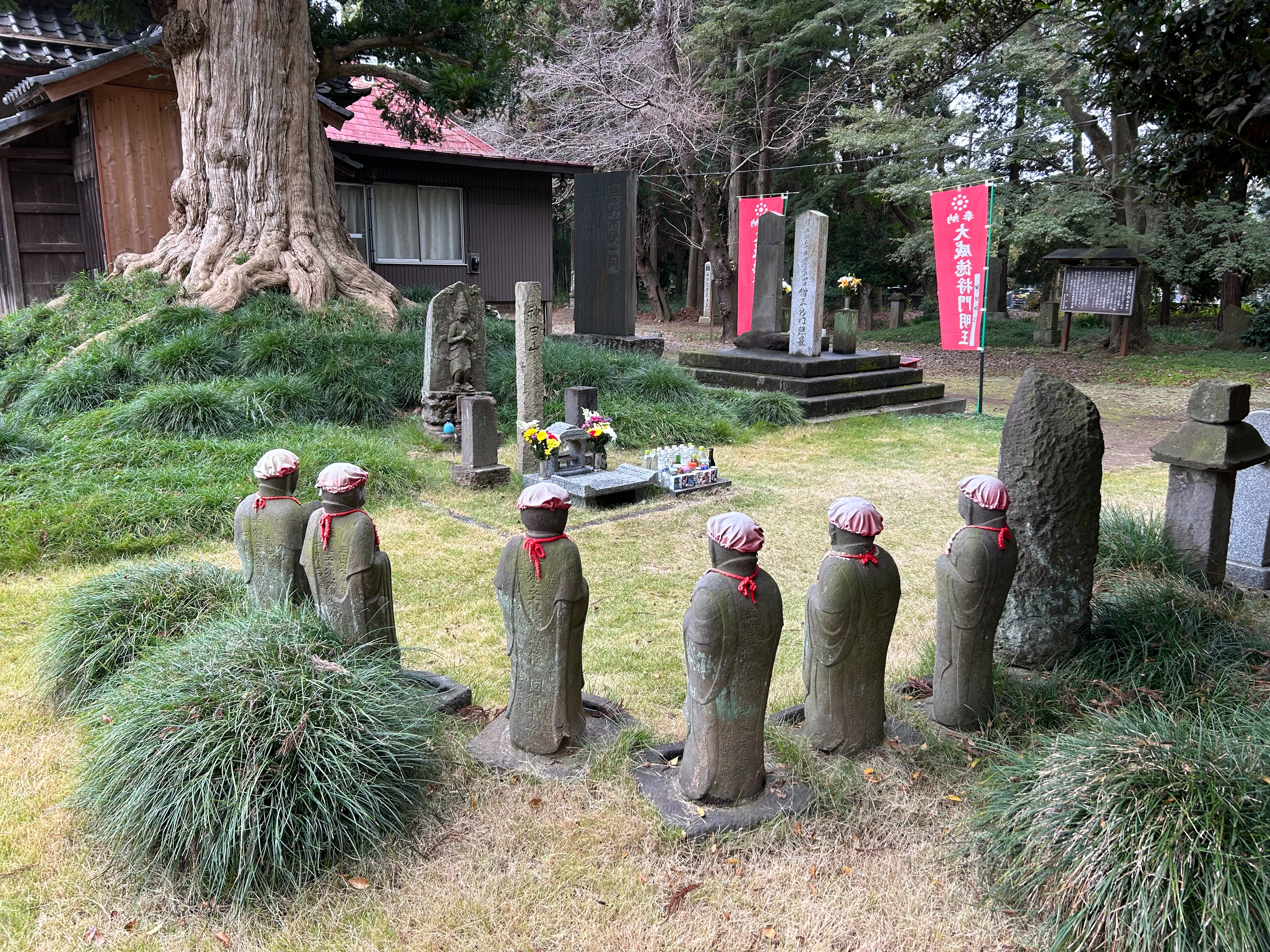 f:id:yoyorinrinyuyu:20231115124702j:image