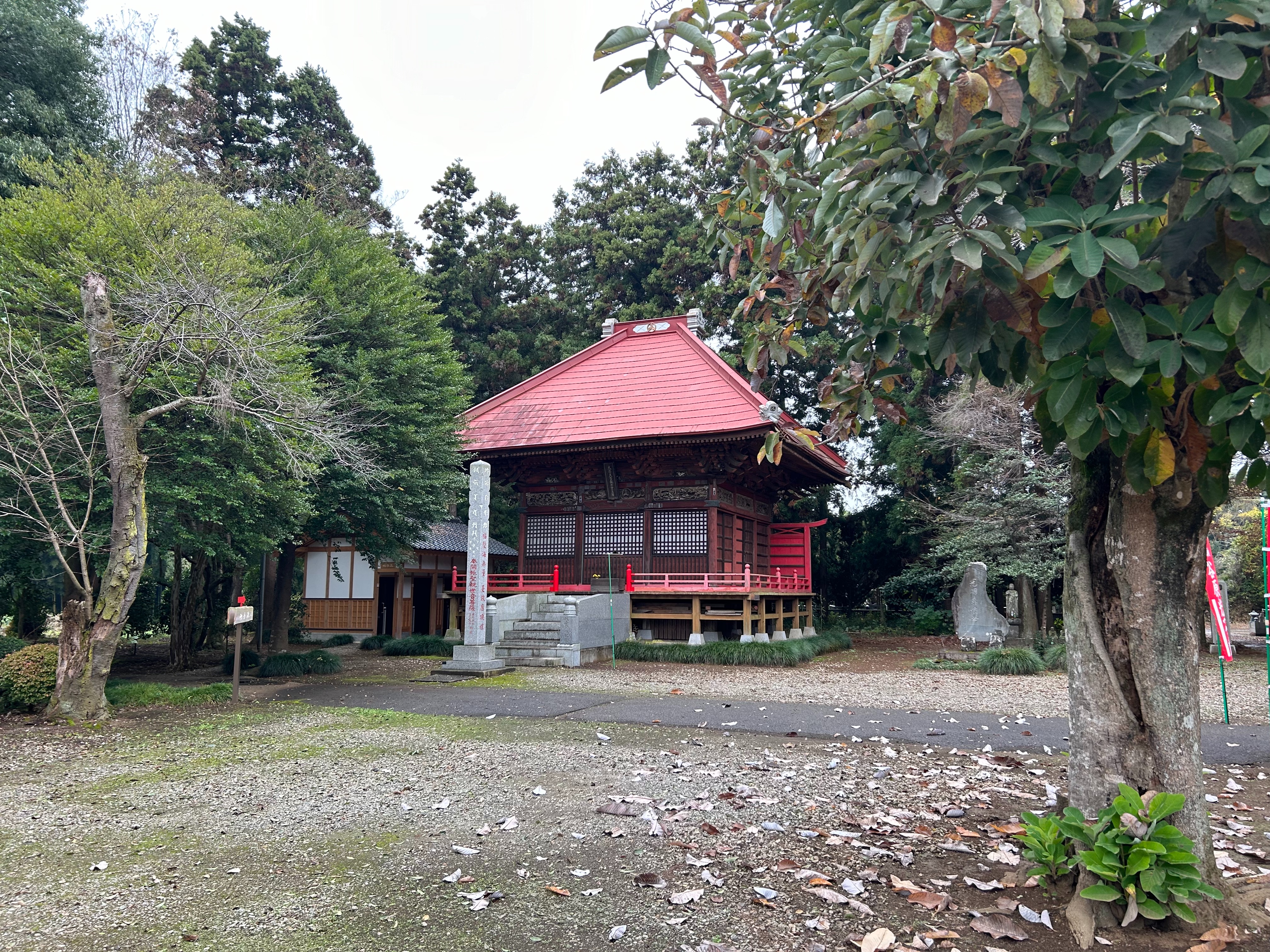 f:id:yoyorinrinyuyu:20231115124712j:image