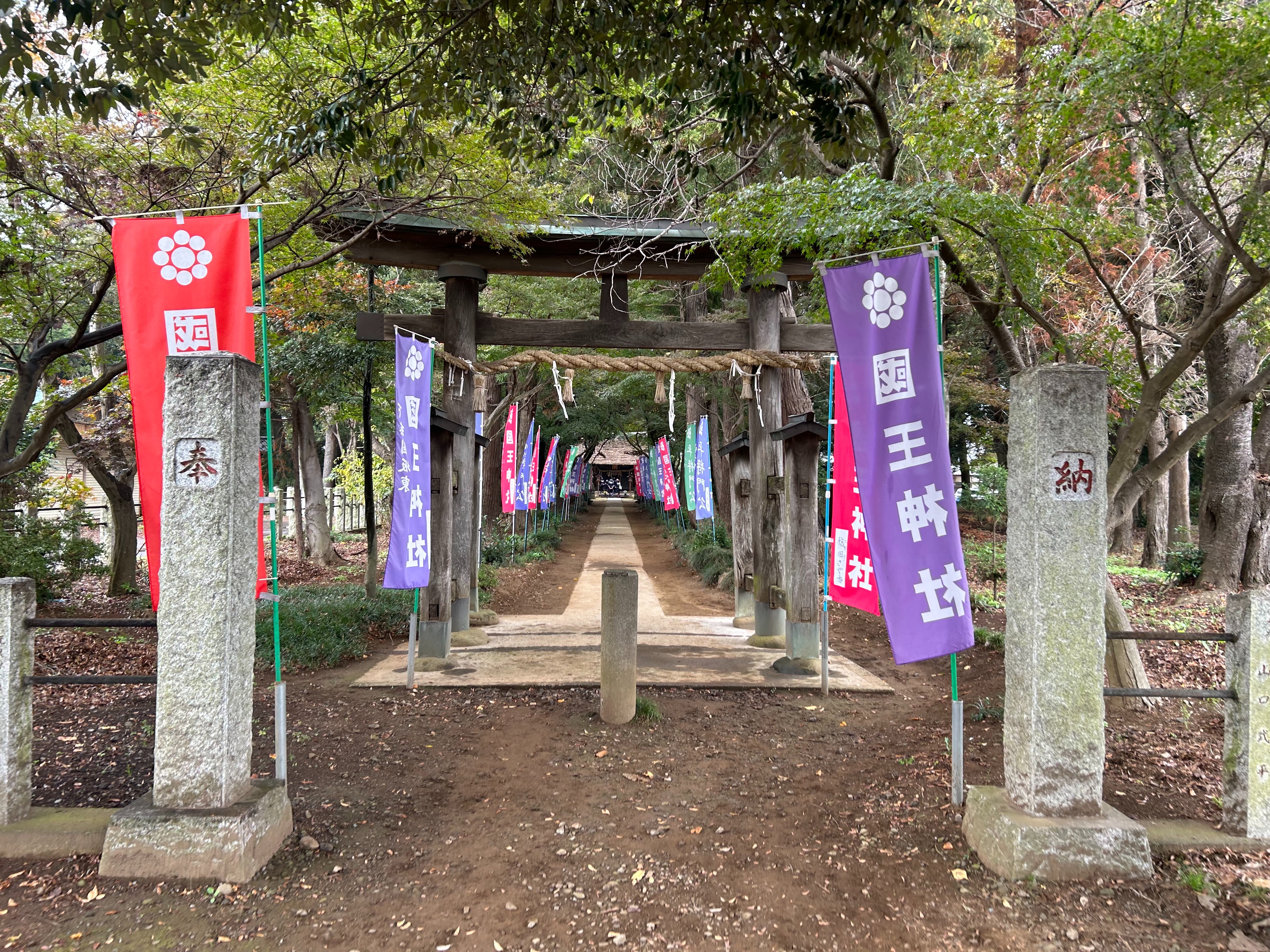 f:id:yoyorinrinyuyu:20231115130157j:image