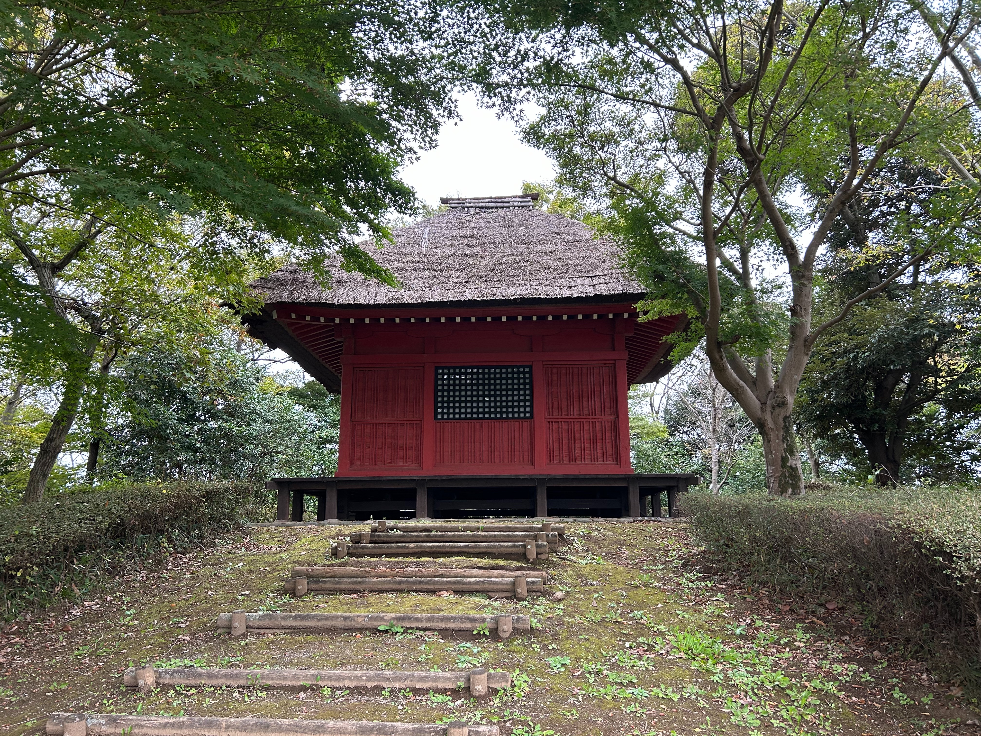 f:id:yoyorinrinyuyu:20231115130702j:image