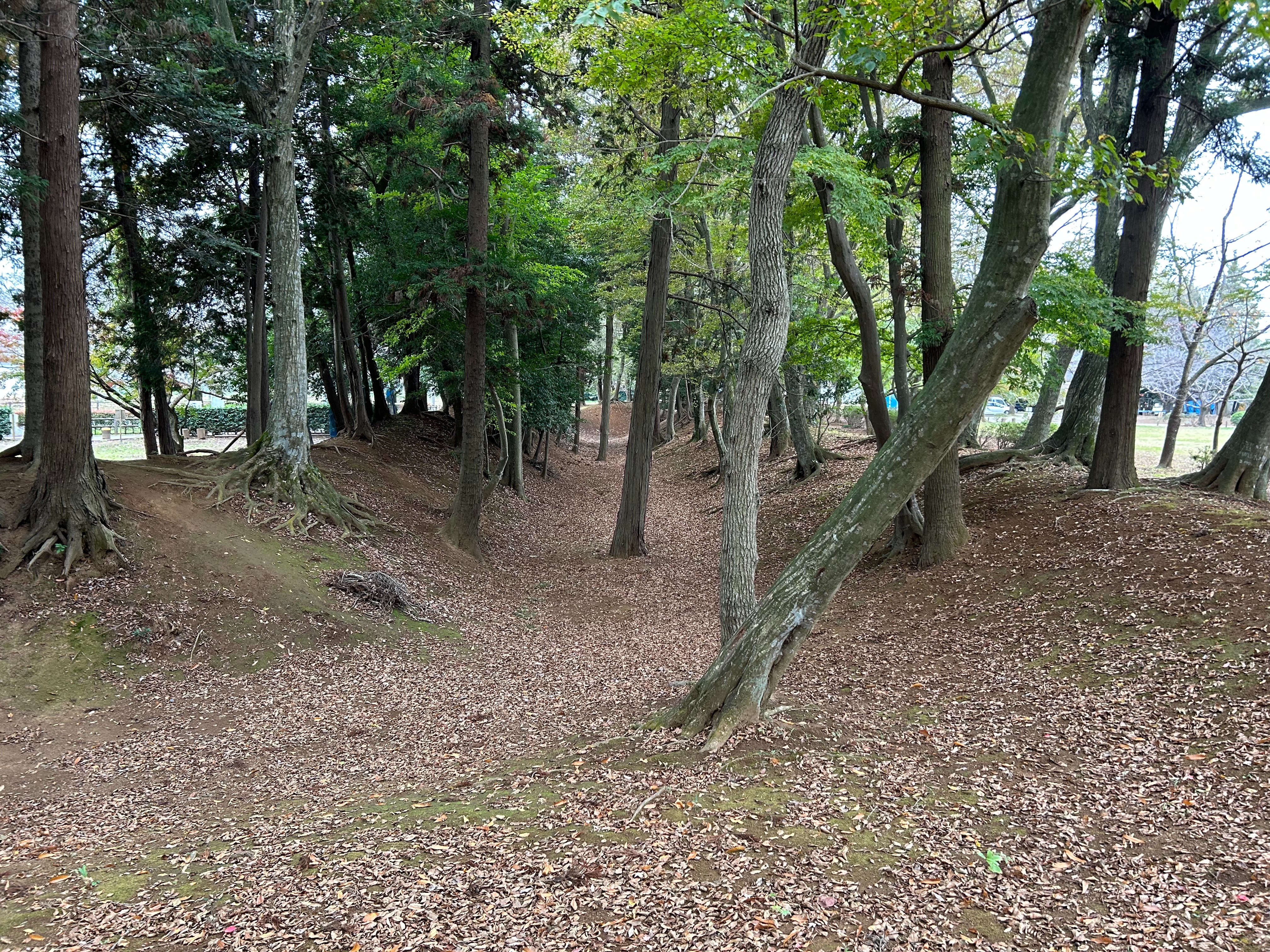 f:id:yoyorinrinyuyu:20231115130742j:image